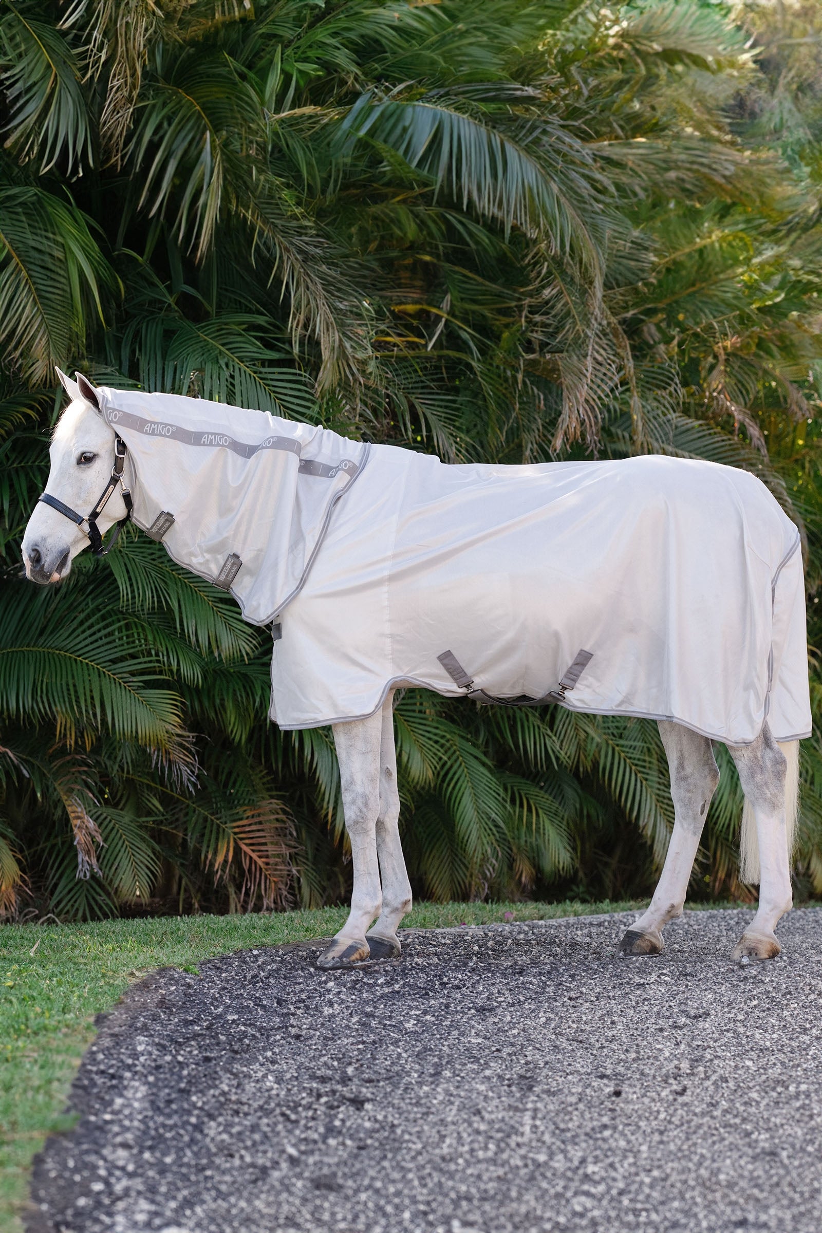Horseware Amigo Integrated Fly Sheet Horse Rugs