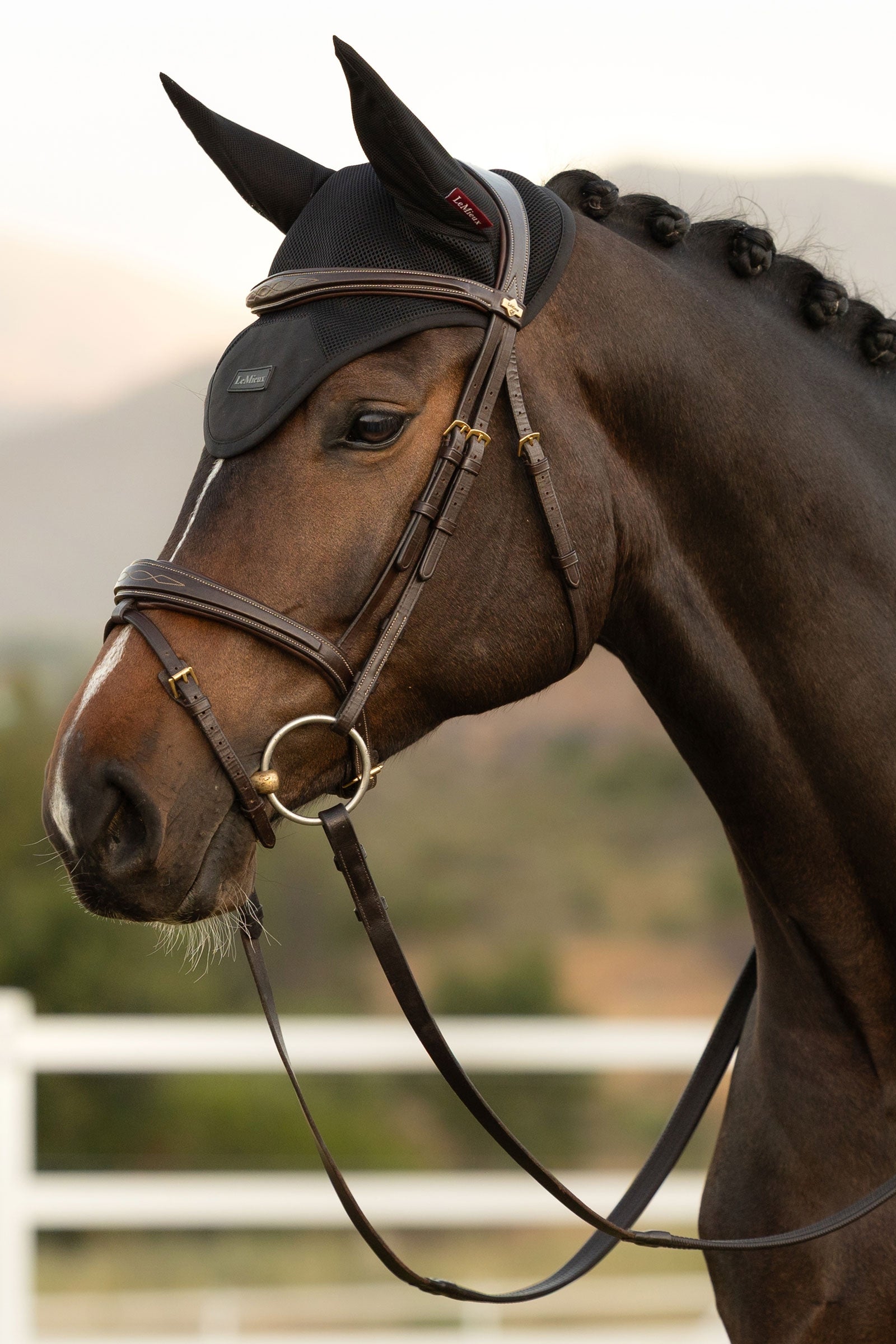 LeMieux Air-Tek Mesh Fly Hood Antifly Protection for Horses
