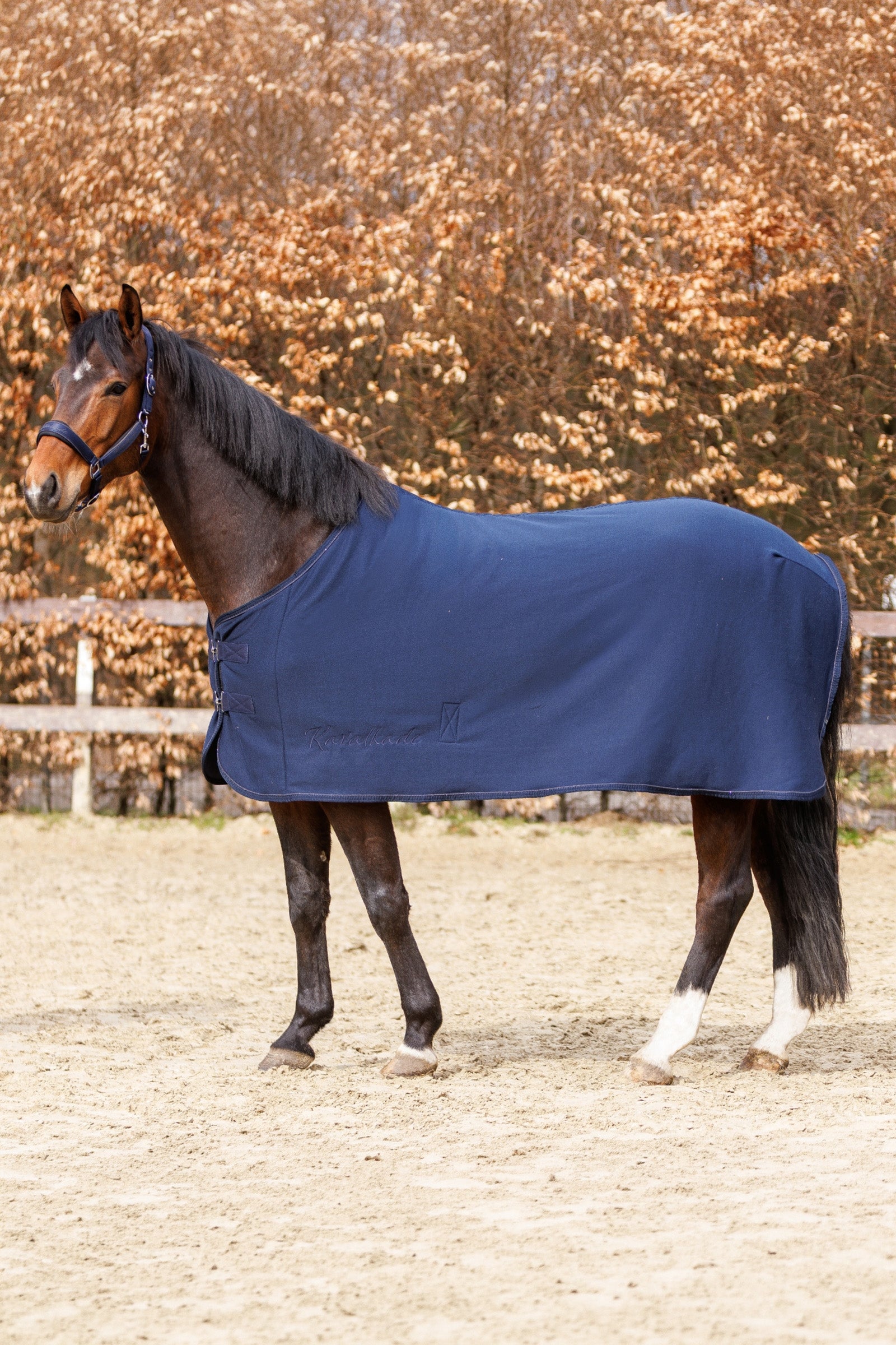 Kavalkade Graceful Jersey Rug Horse Rugs