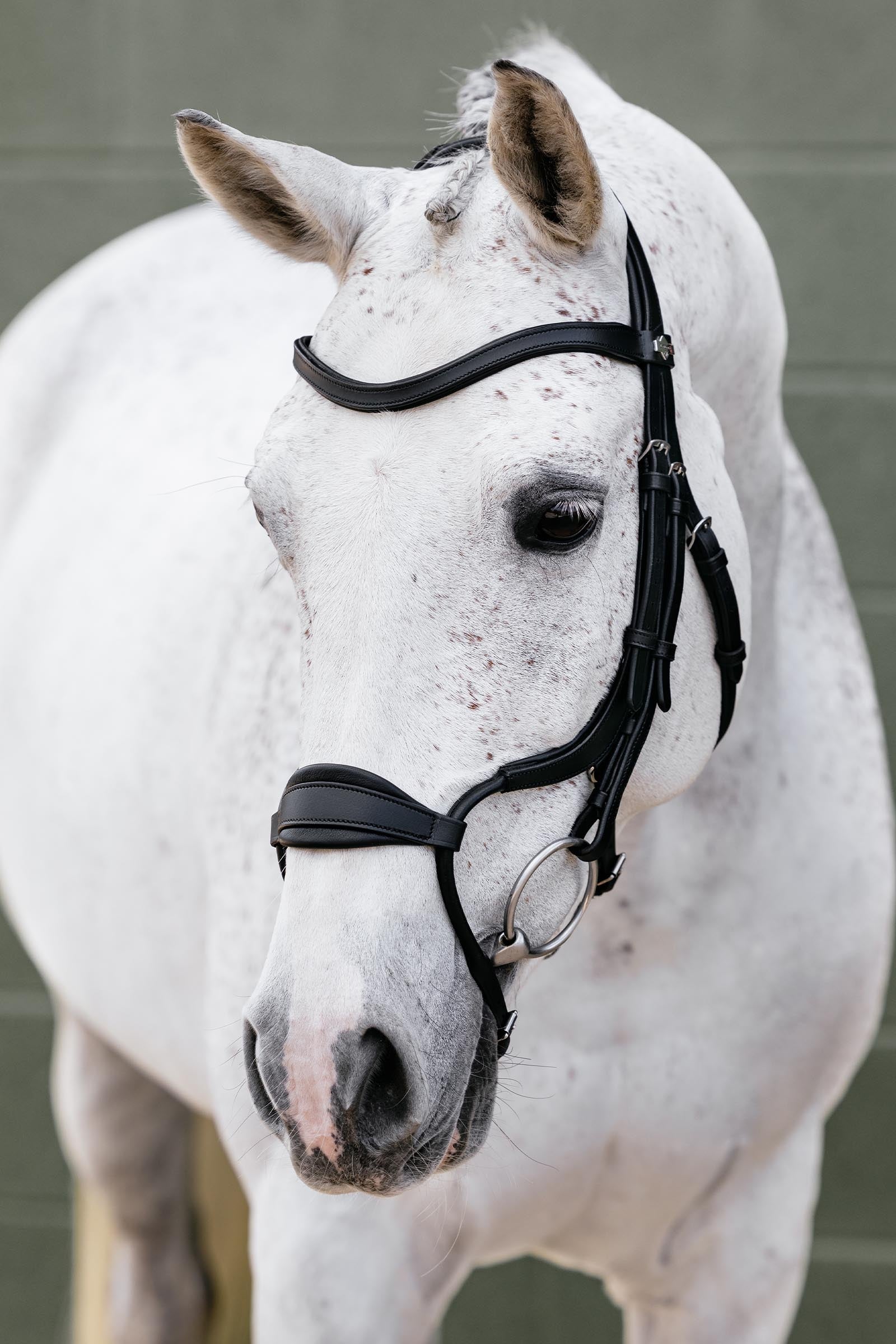LeMieux Arika Adjustable Anatomic Nose Bridle Bridles & Reins