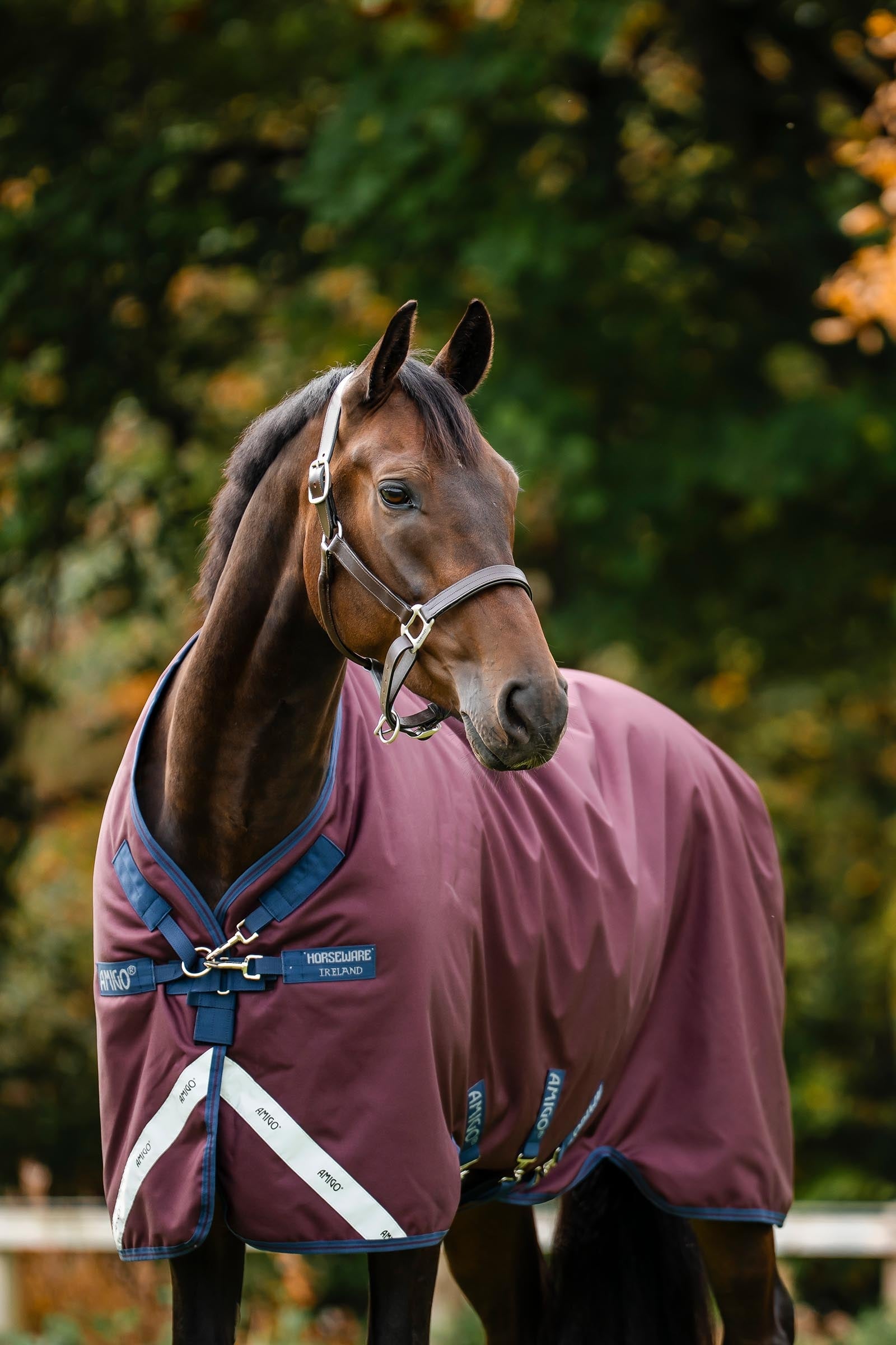 Horseware Amigo 1200D Turnout Rug, 50 g Horse Rugs