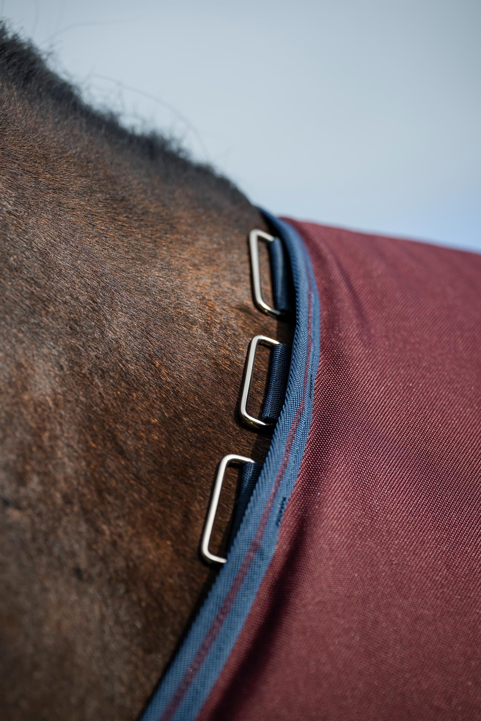 Horseware Amigo 1200D Turnout Rug, 50 g Horse Rugs