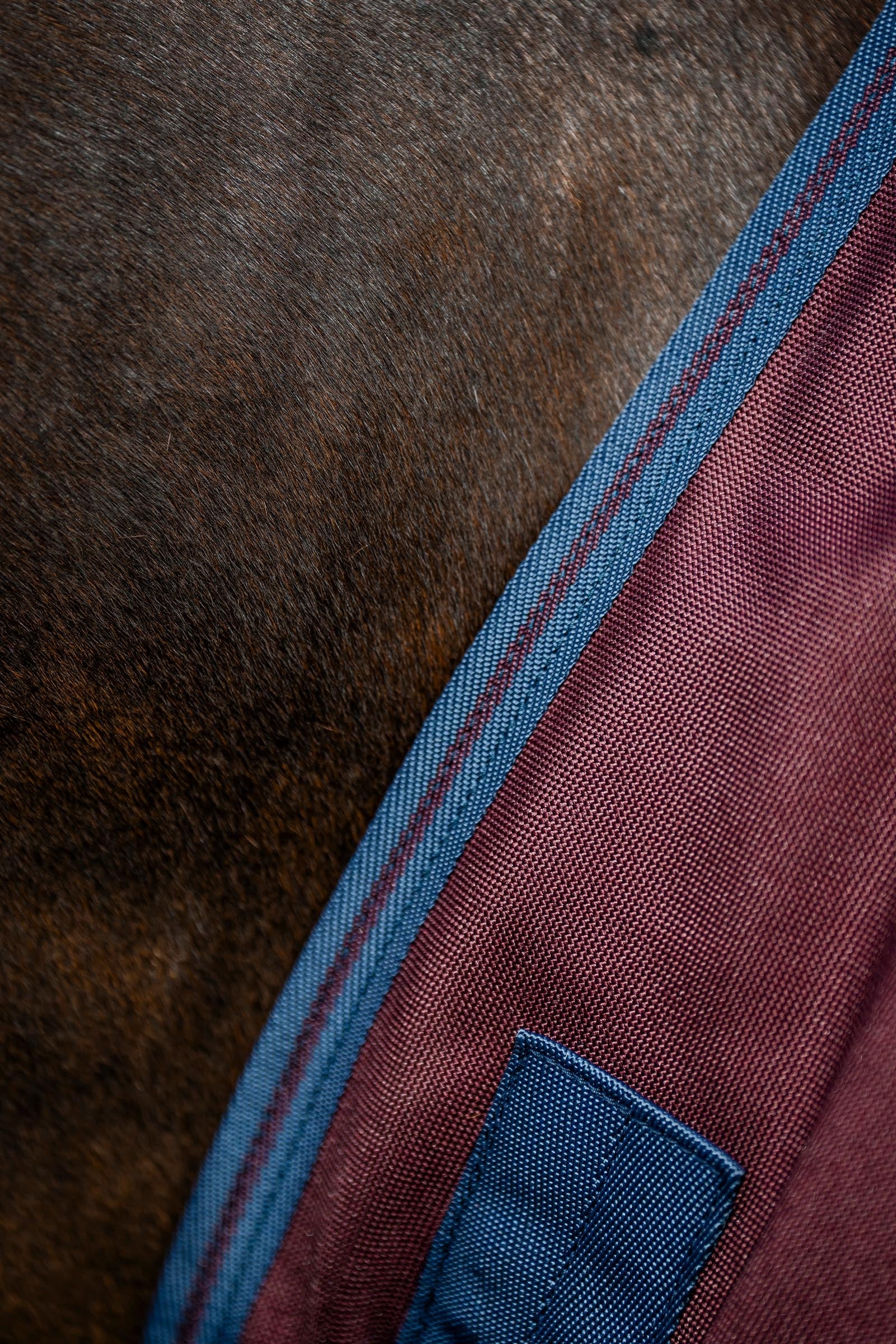 Horseware Amigo 1200D Turnout Rug, 50 g Horse Rugs