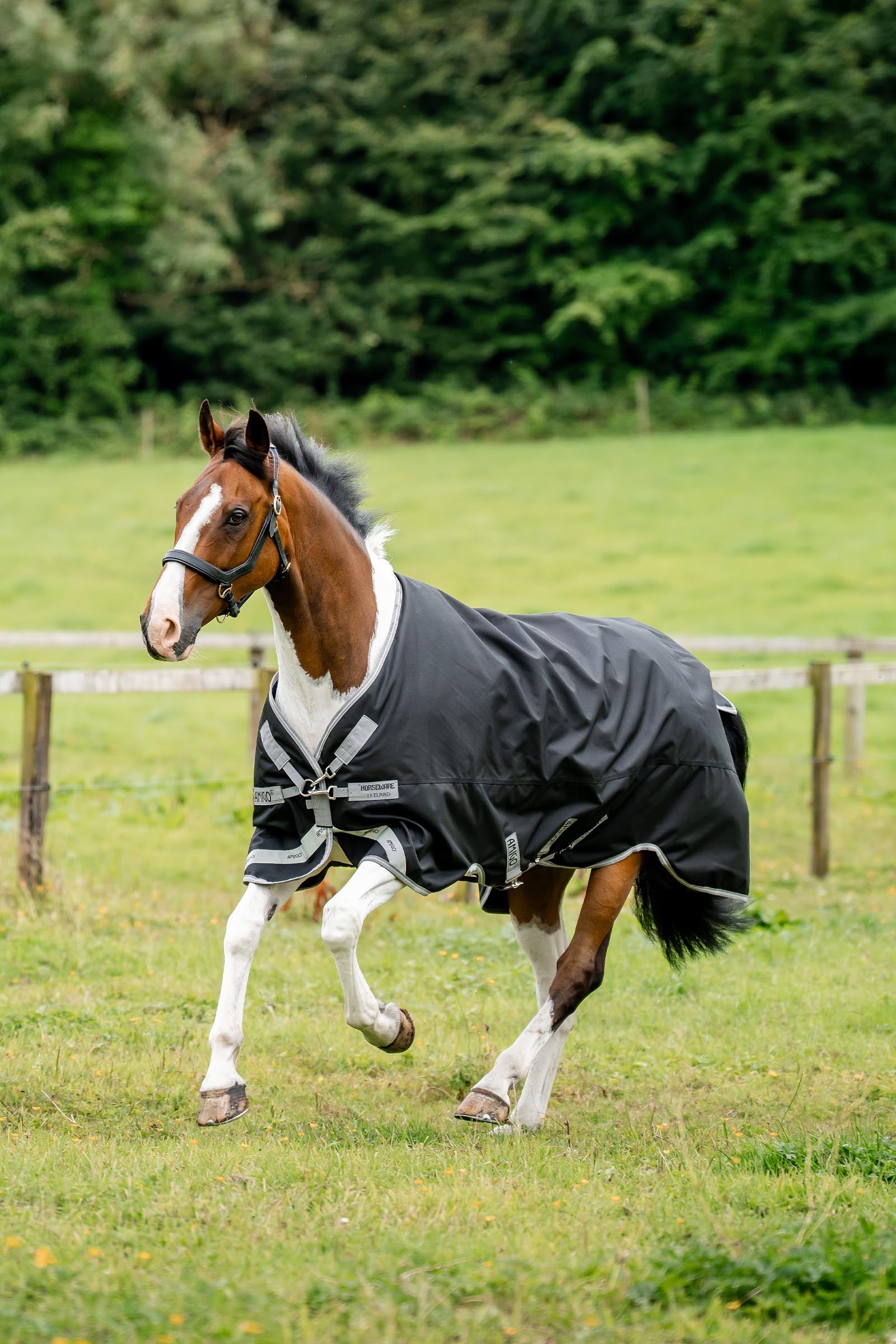 Horseware Amigo 1200D XL Turnout 50 g Horse Rugs