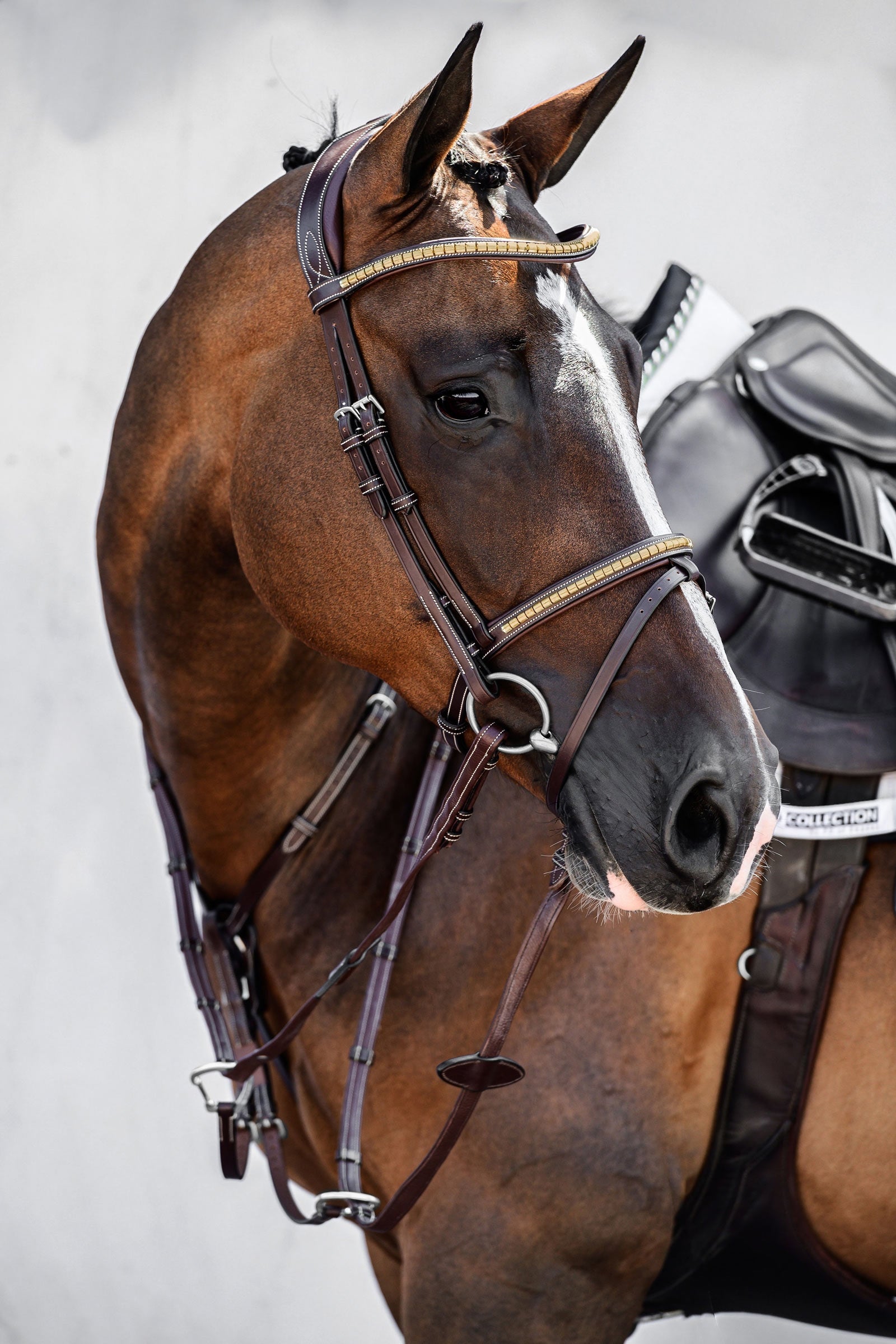 PS of Sweden Antwerp 2.0 Bridle Bridles & Reins