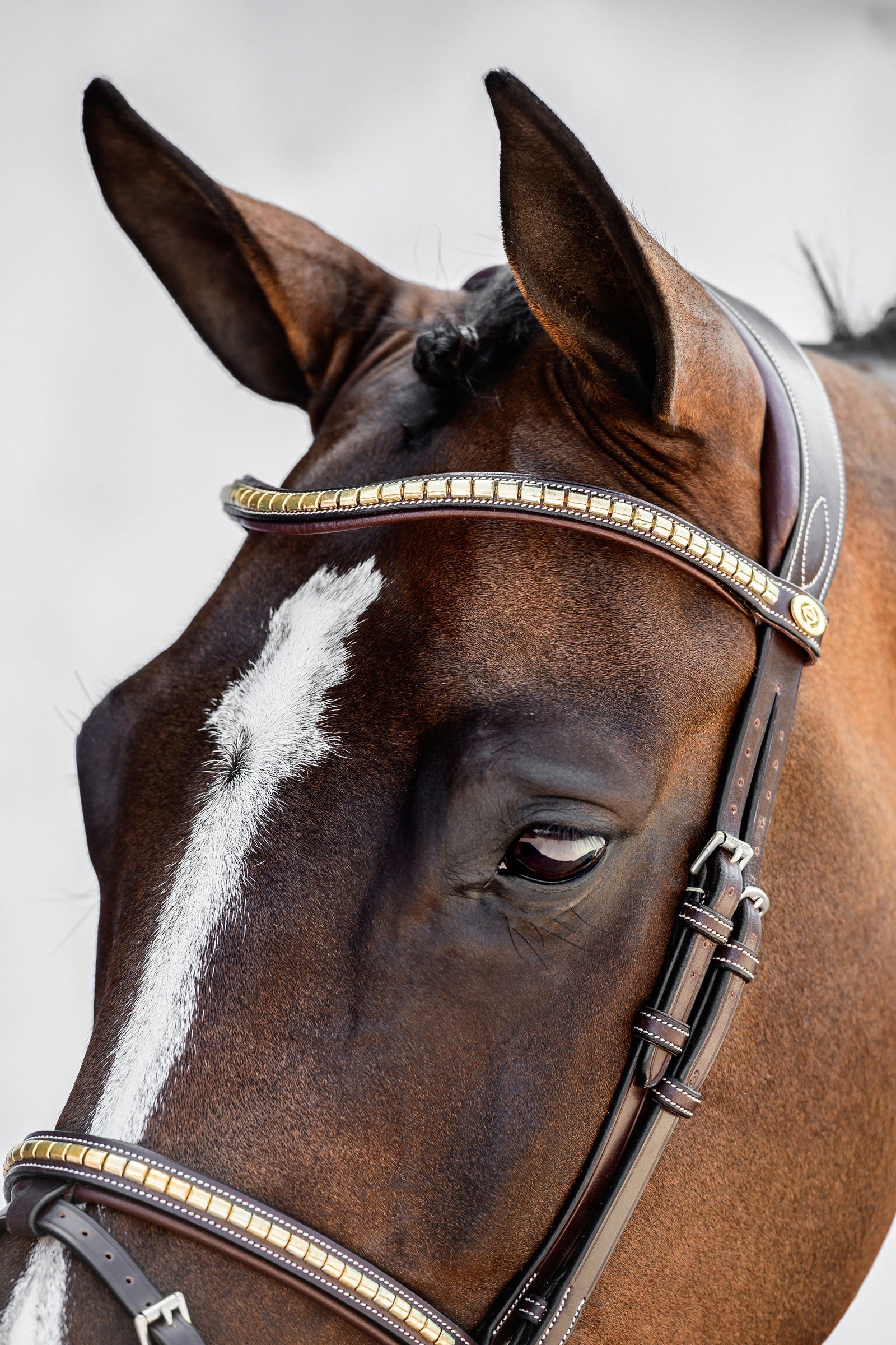 PS of Sweden Antwerp 2.0 Bridle Bridles & Reins