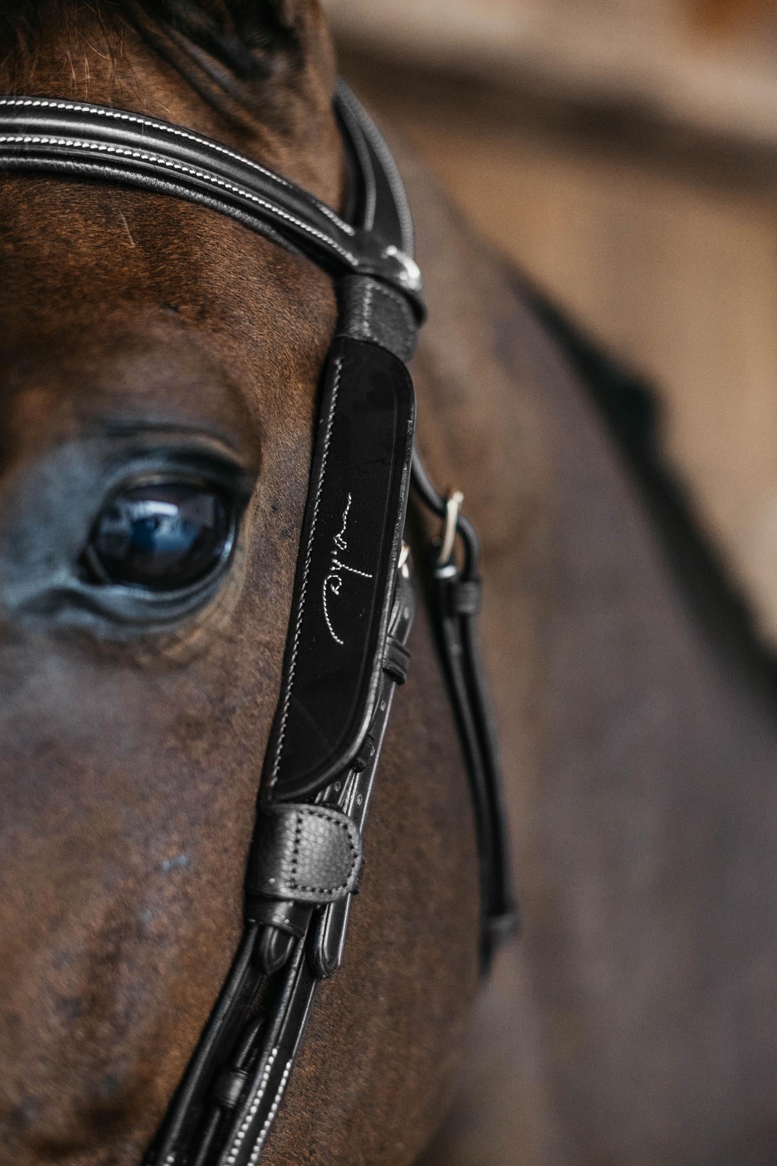 Dy'on Blinkers With Fancy Stitching Bridles & Reins