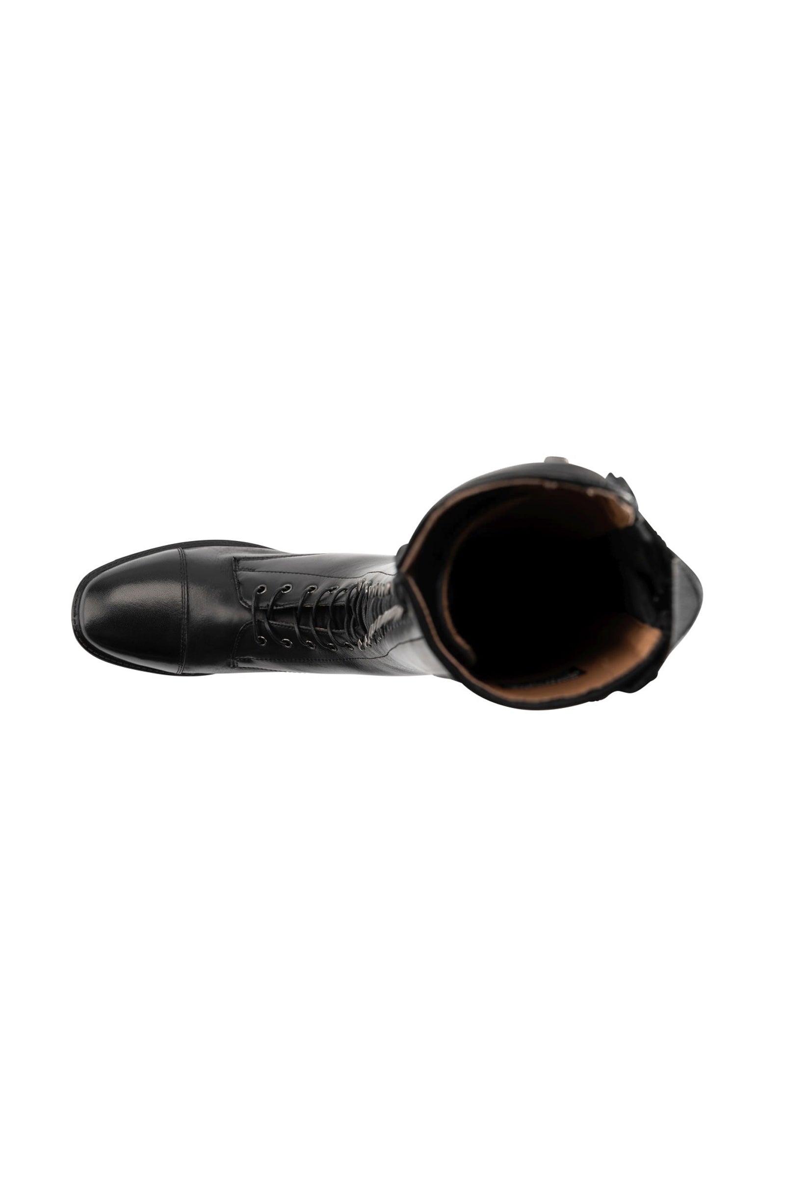 Suedwind Footwear Legacy Venado Lace Tall Riding Boots Riding Boots & Riding Shoes
