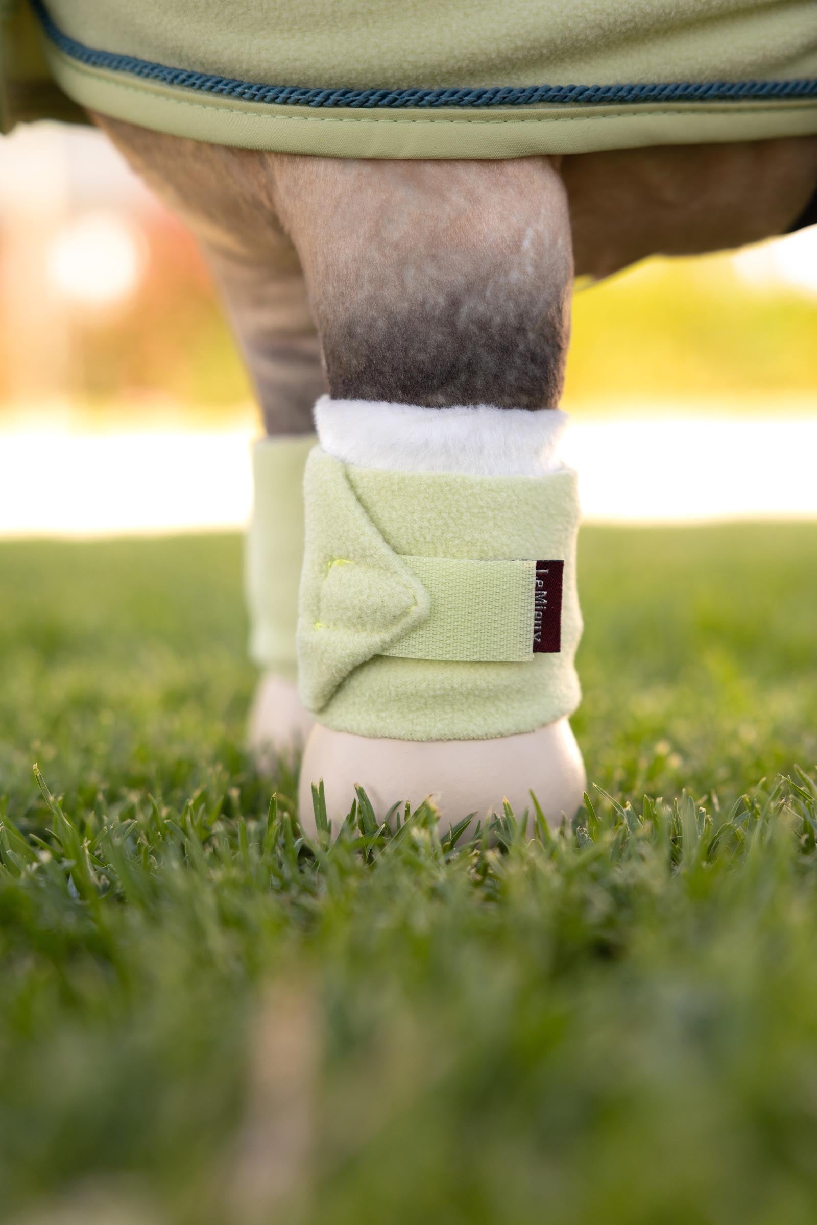 LeMieux Toy Pony Bandages (4 pcs.) Gifts & Toys