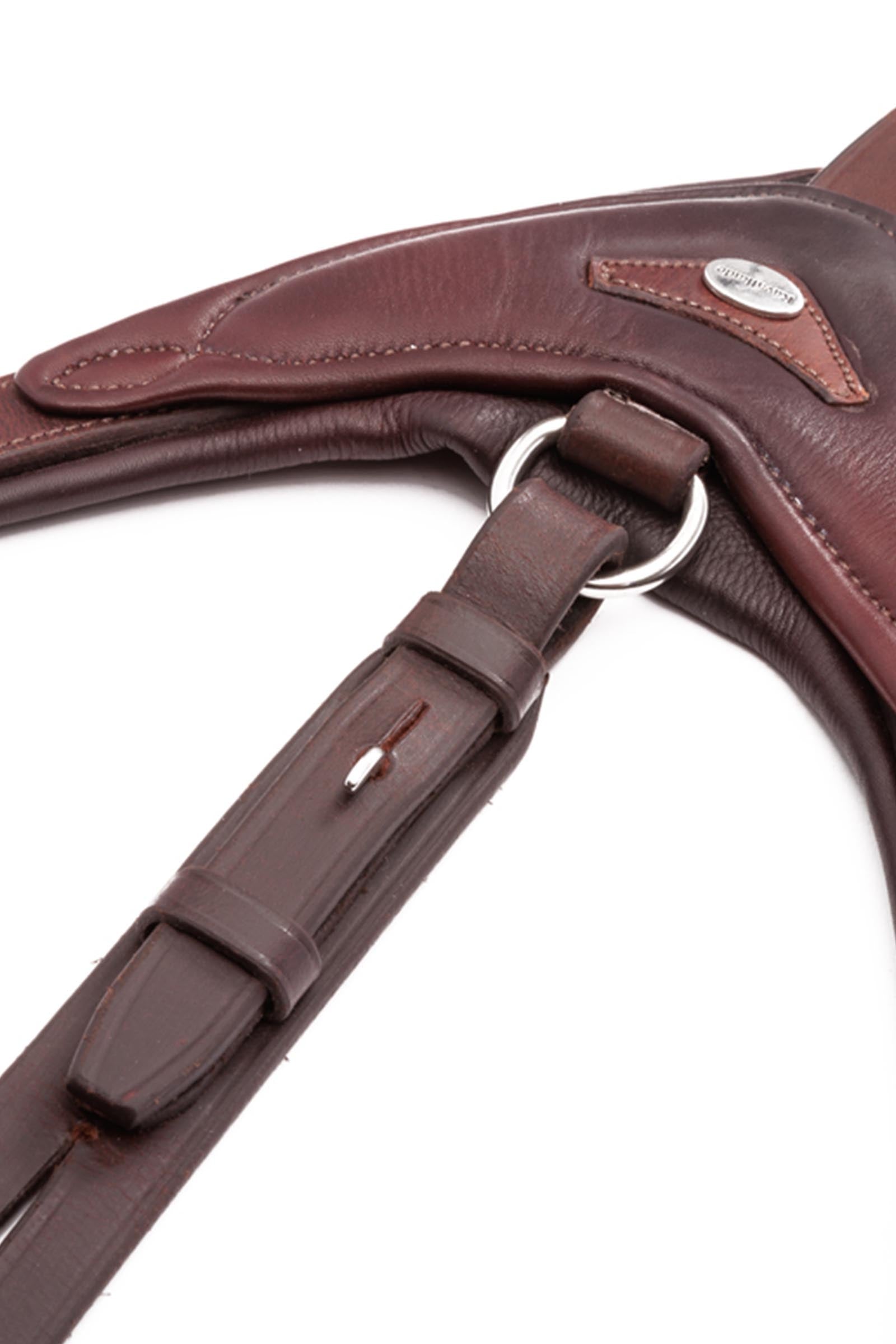 Kavalkade Azriel Martingale, Softly Padded Bridles & Reins