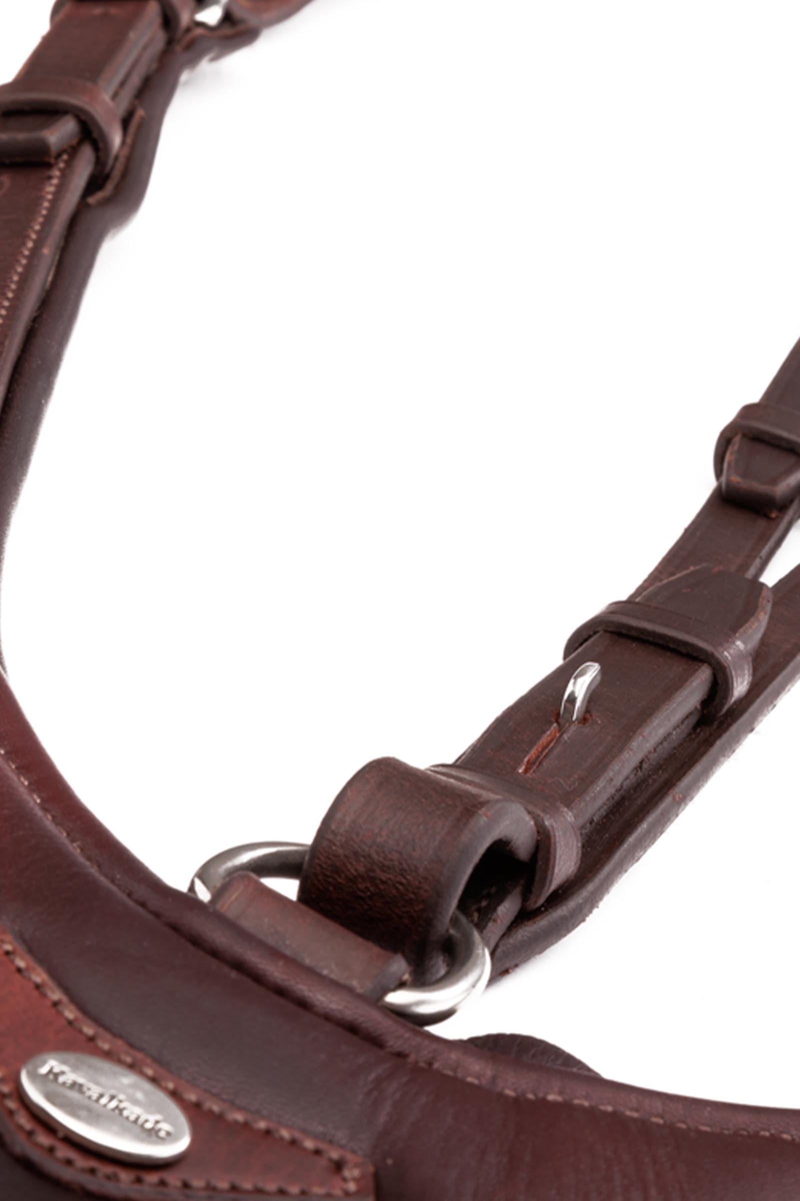 Kavalkade Azriel Martingale, Softly Padded Bridles & Reins