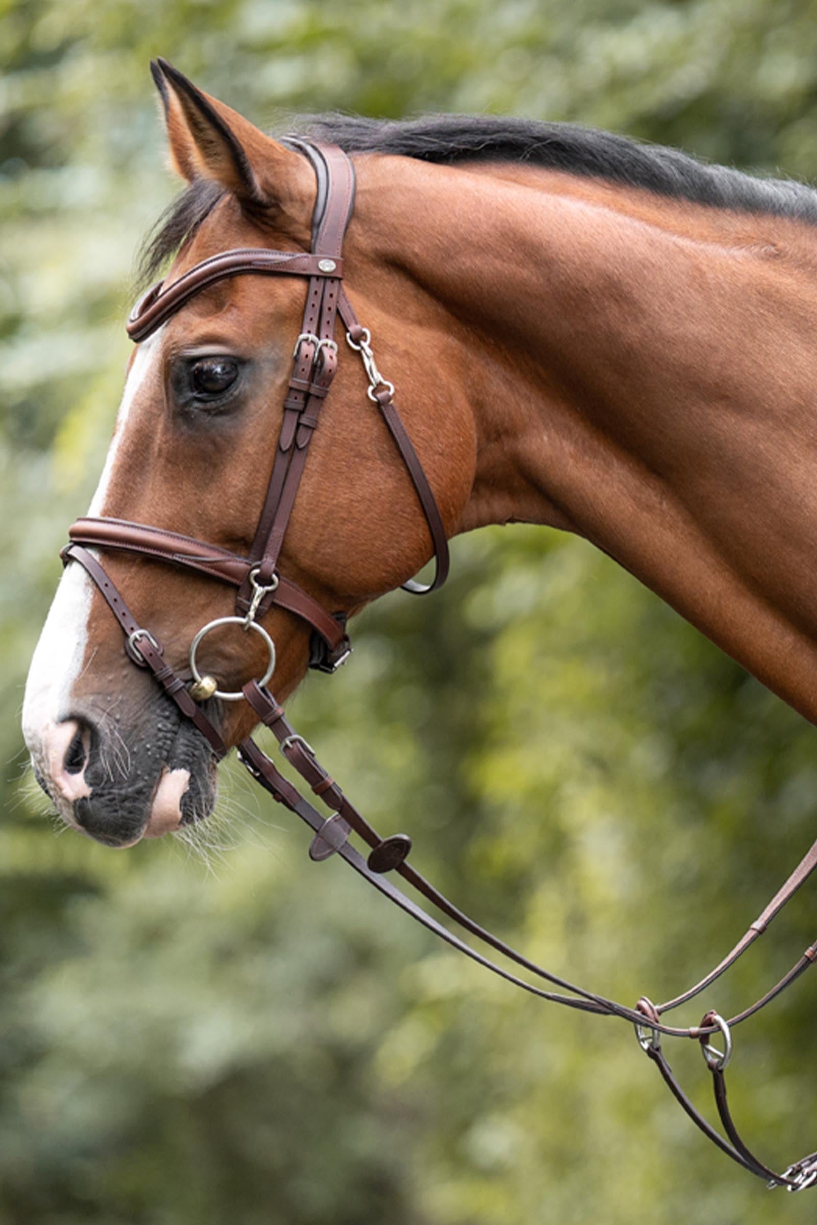 Kavalkade Azriel Martingale, Softly Padded Bridles & Reins