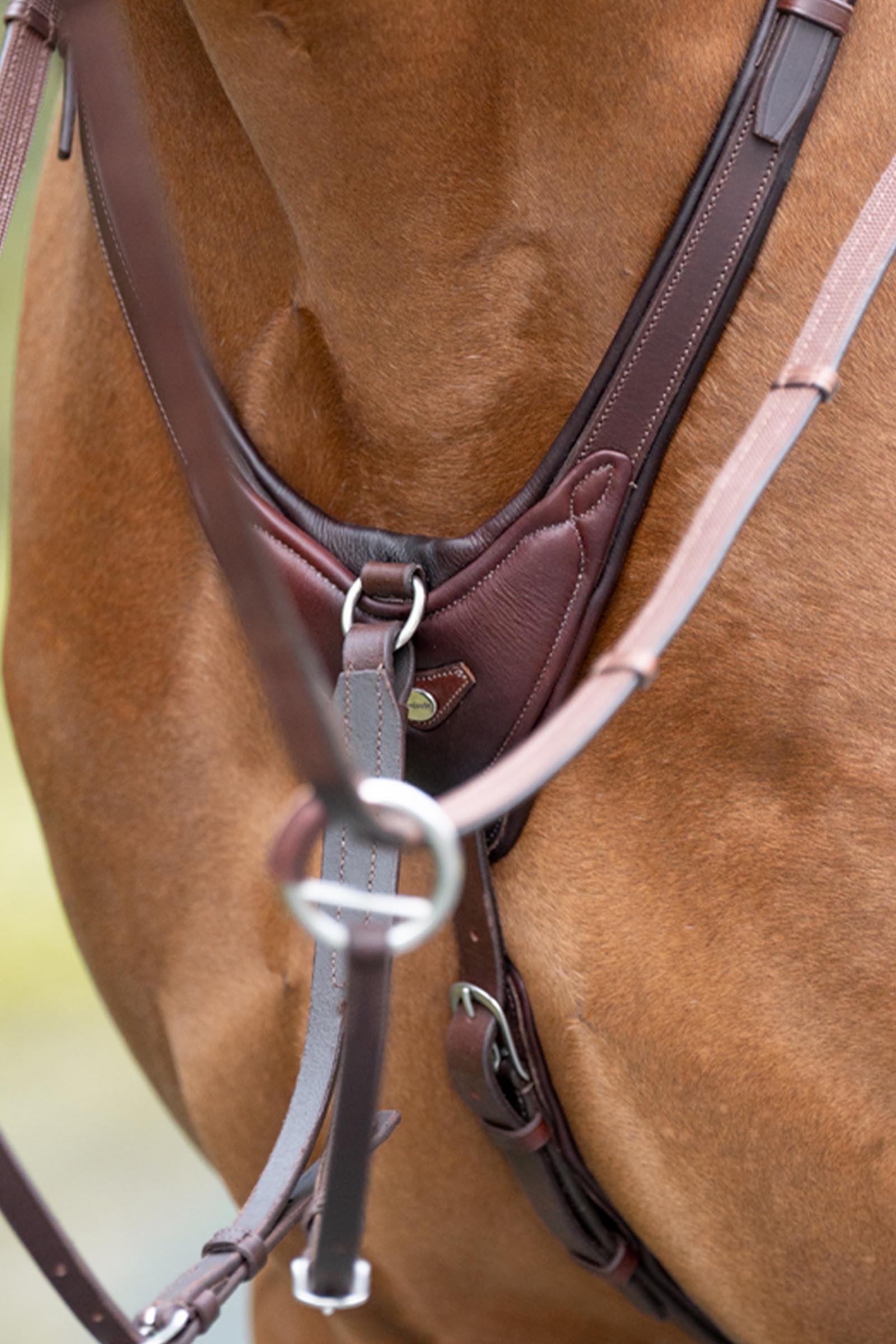 Kavalkade Azriel Martingale, Softly Padded Bridles & Reins
