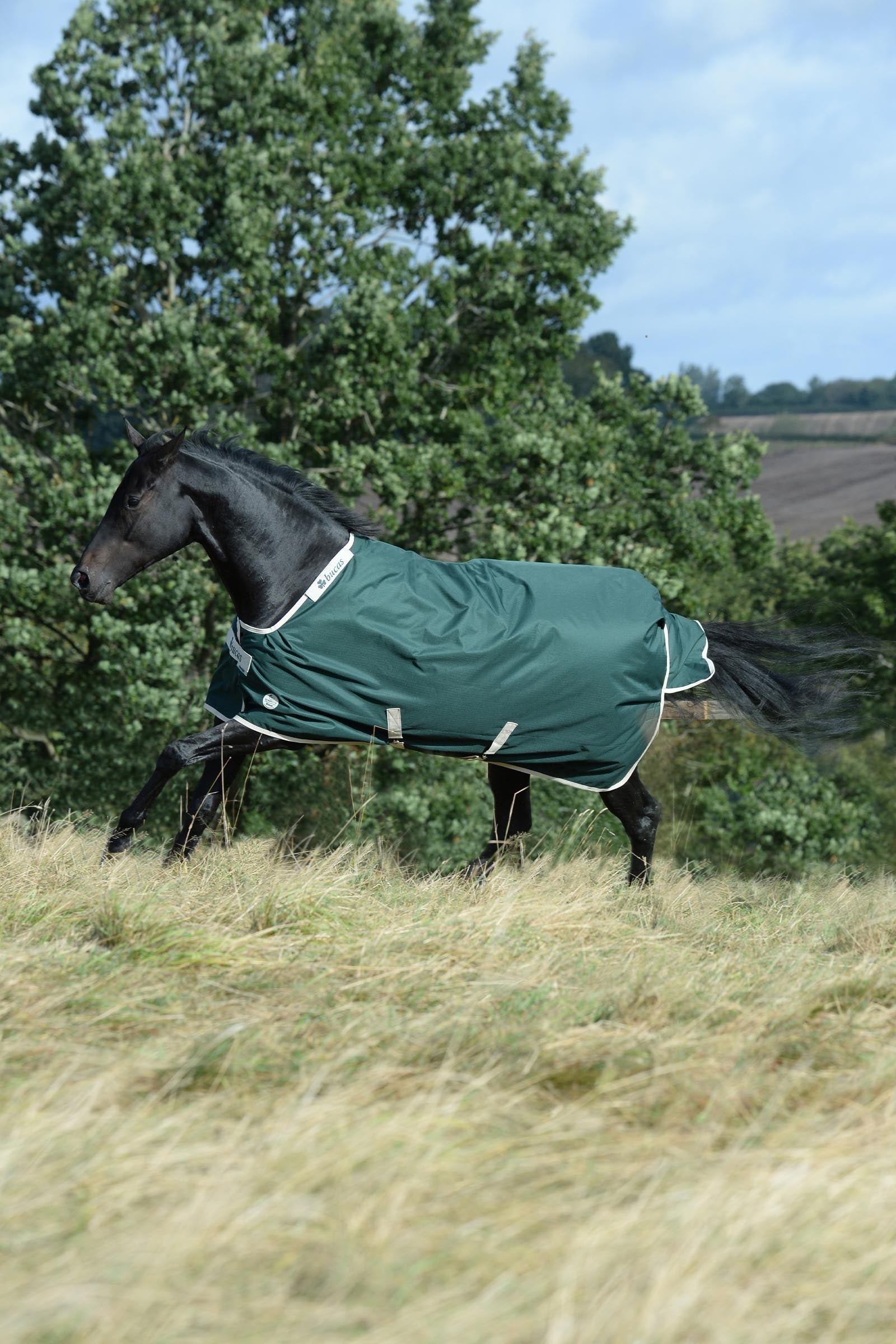 Bucas Green-Line Turnout 300g Horse Rugs