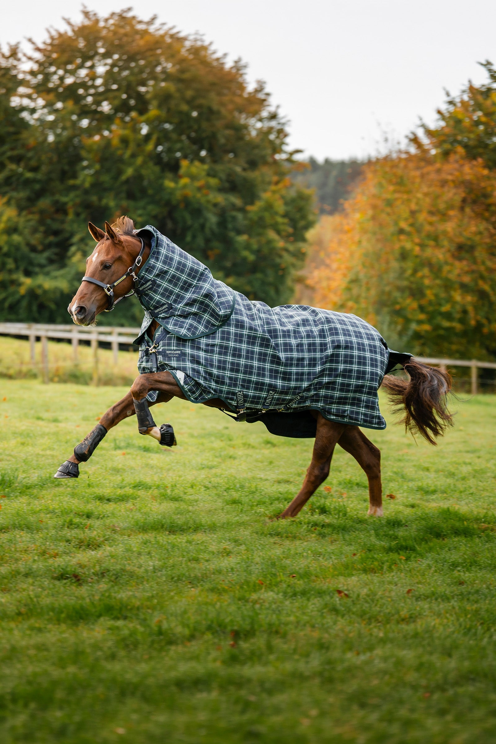 Horseware Rhino Plus Turnout Rug with Detachable Neck, 0g Horse Rugs