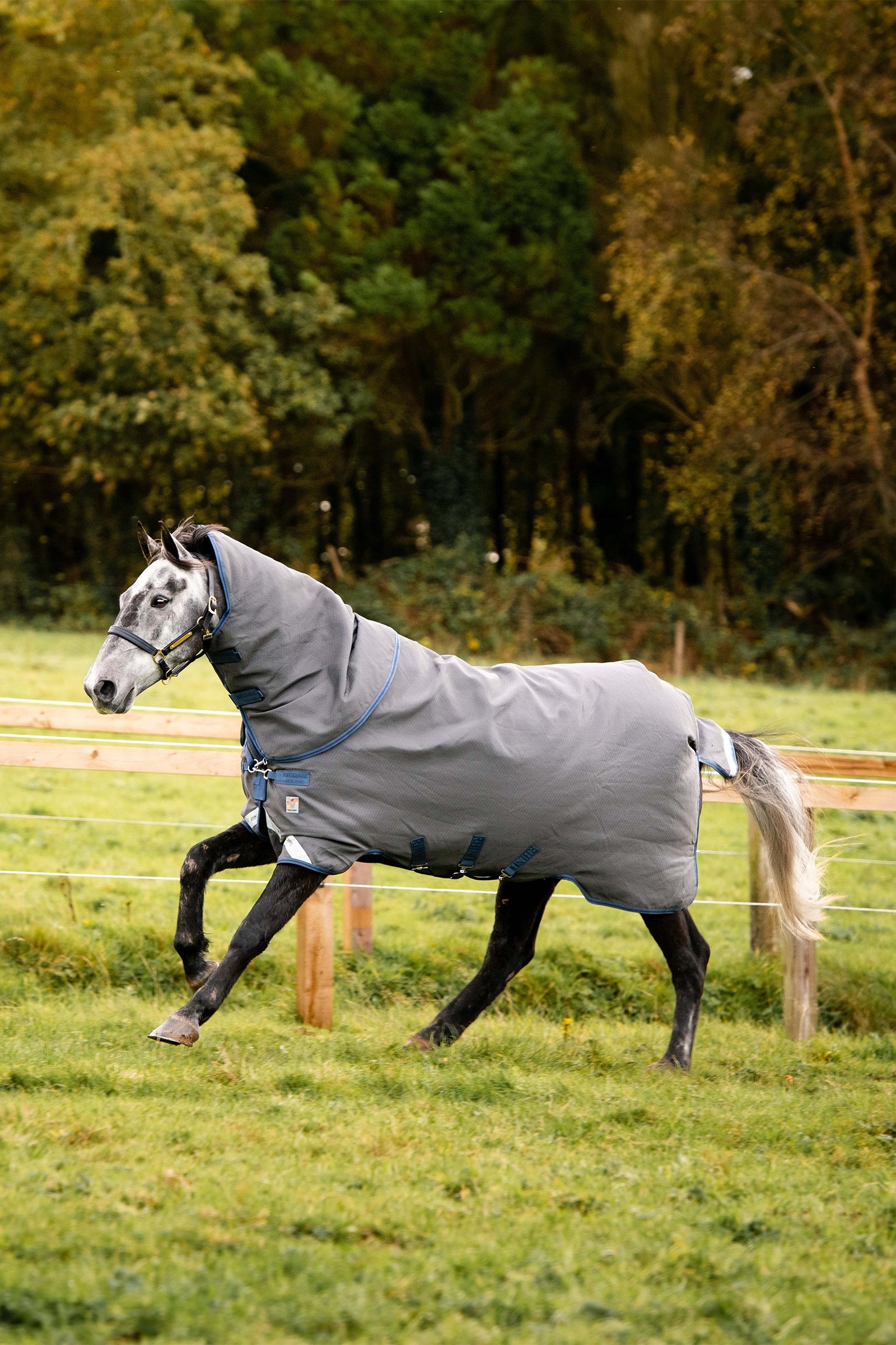 Horseware Rhino Plus HexSTOP Legelő Takaró, 0g Lótakarók