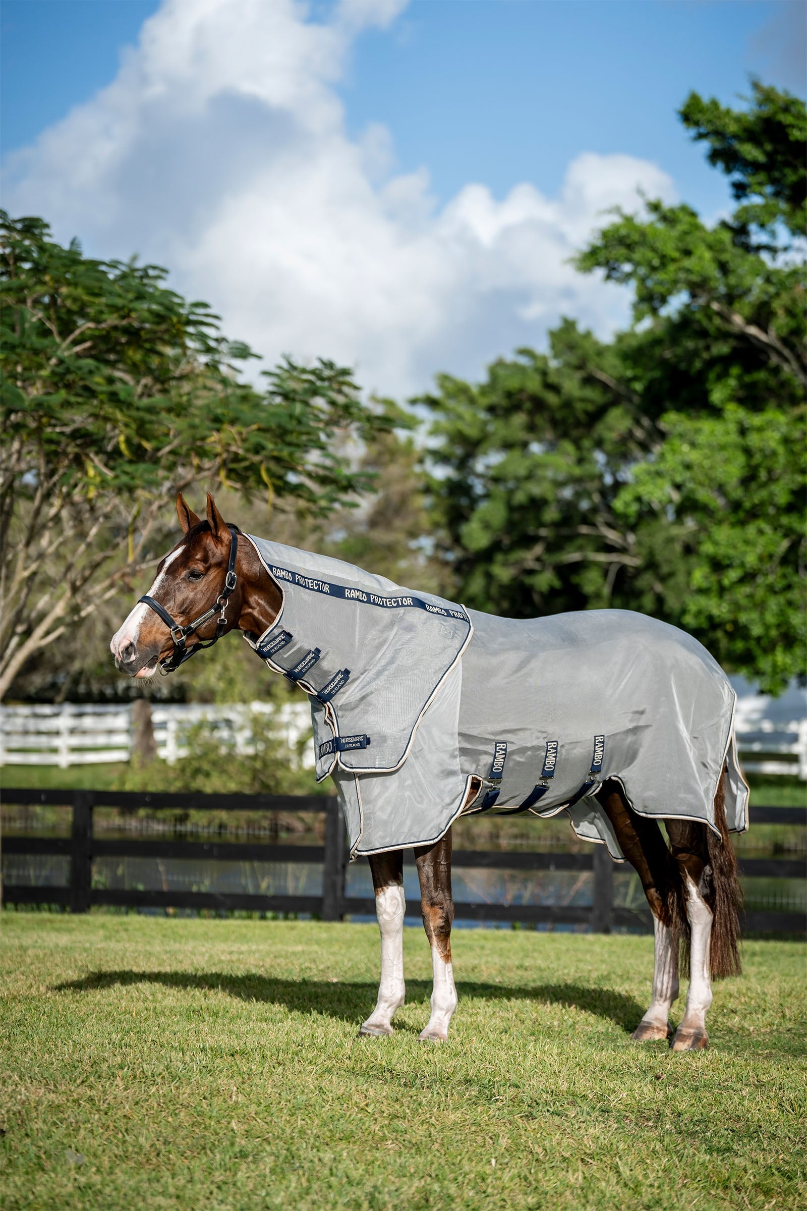Horseware Rambo Protector Fieldsafe Plus lótakaró Lótakarók