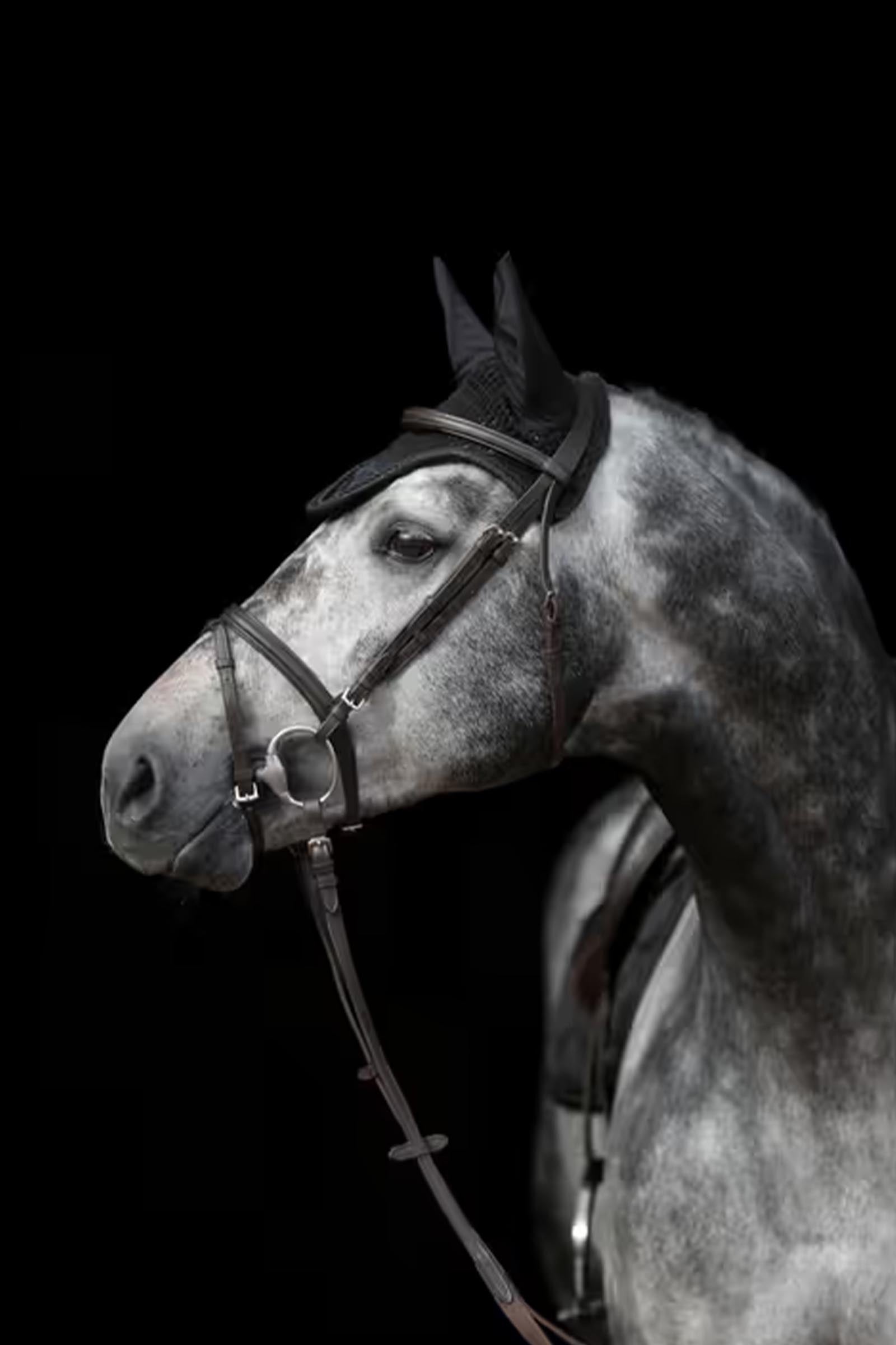 Covalliero Empara Fly Mask Antifly Protection for Horses
