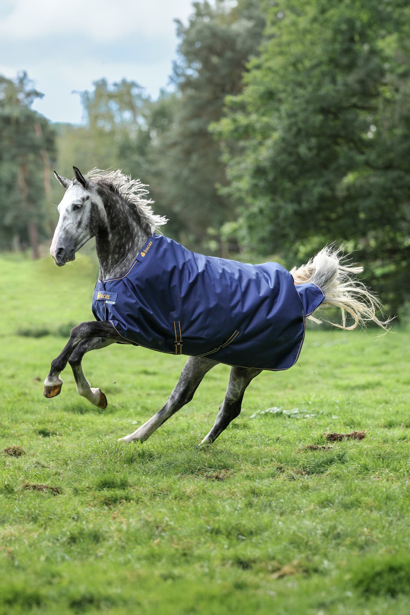 Bucas Irish kültéri takaró, 150g Lótakarók