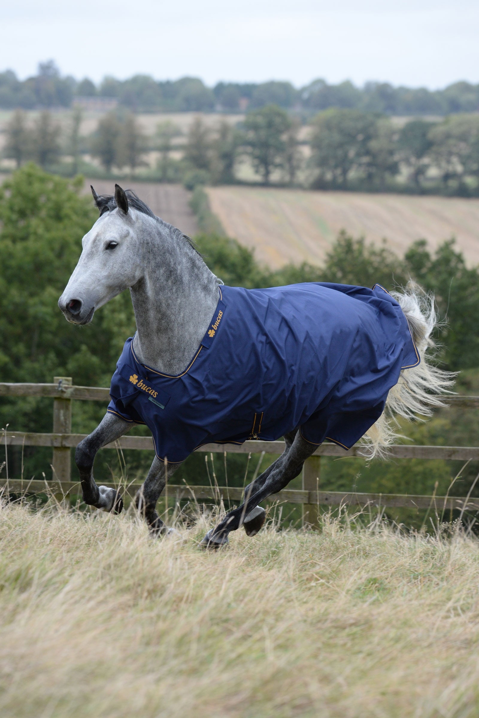 Bucas Irish Turnout Rug, 150g Horse Rugs