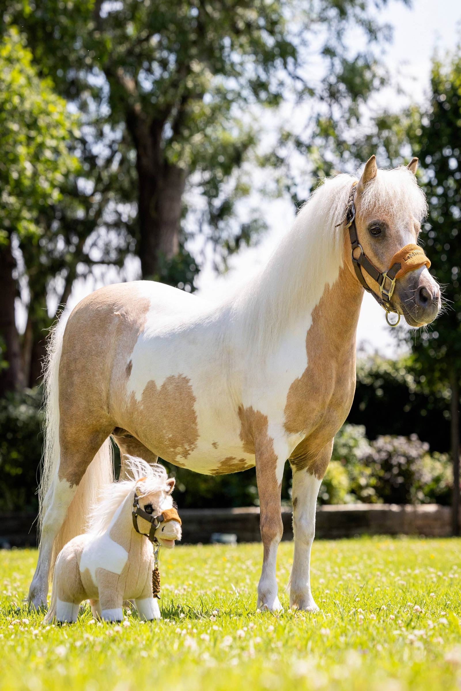 LeMieux Lemon Toy Pony Gifts & Toys