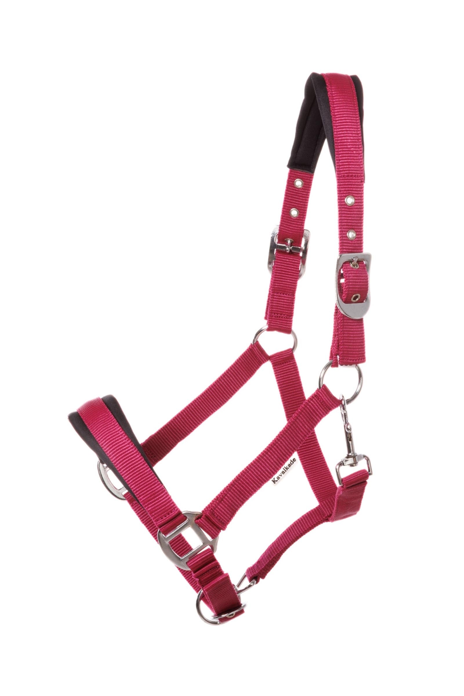 Kavalkade Classic Simple Halter Draft Horse Halters & Leads