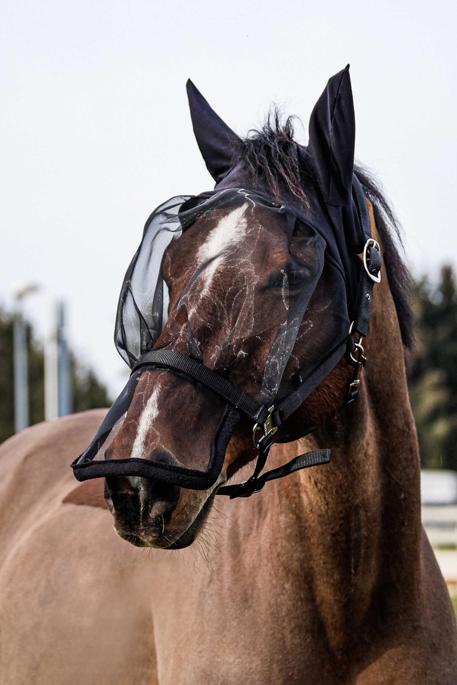 EQUITHÈME Kötőfék + UV-maszk Légy Elleni Védelem Lovaknak