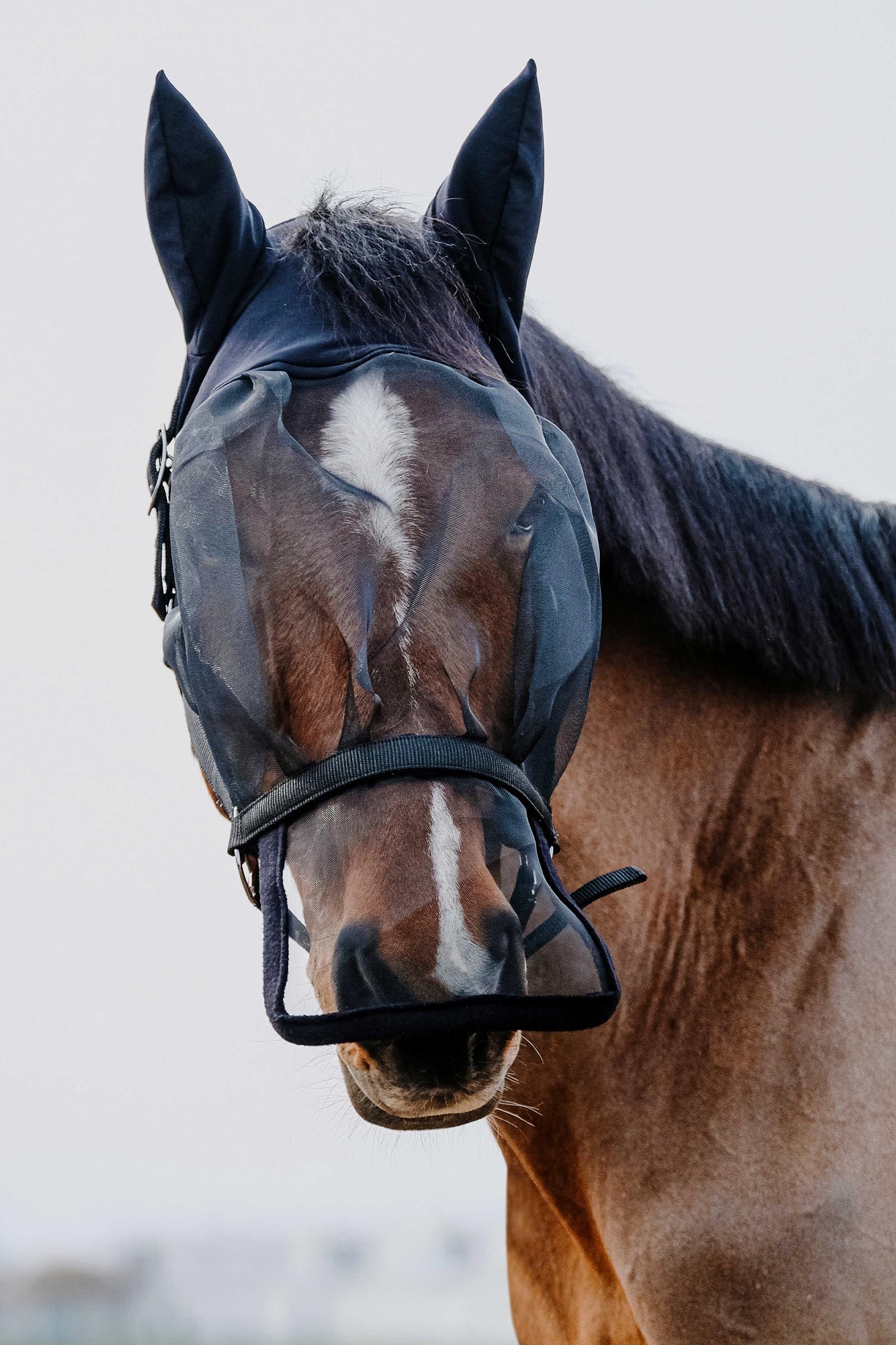 EQUITHÈME Halter + Anti UV Mask Antifly Protection for Horses