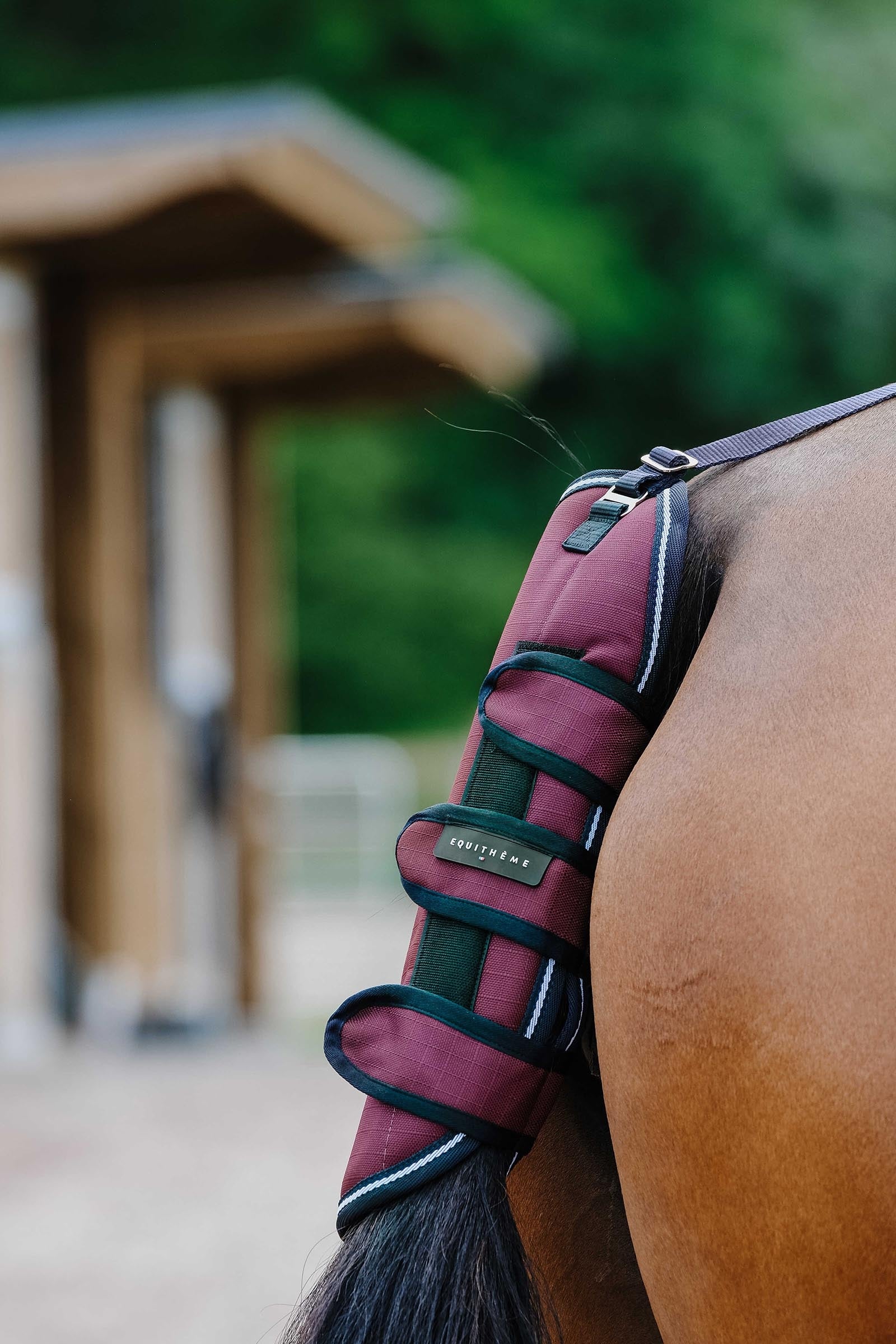 Equi Theme EQUITHÈME TYREX 1200D farokvédő Leg & Hoof Protection