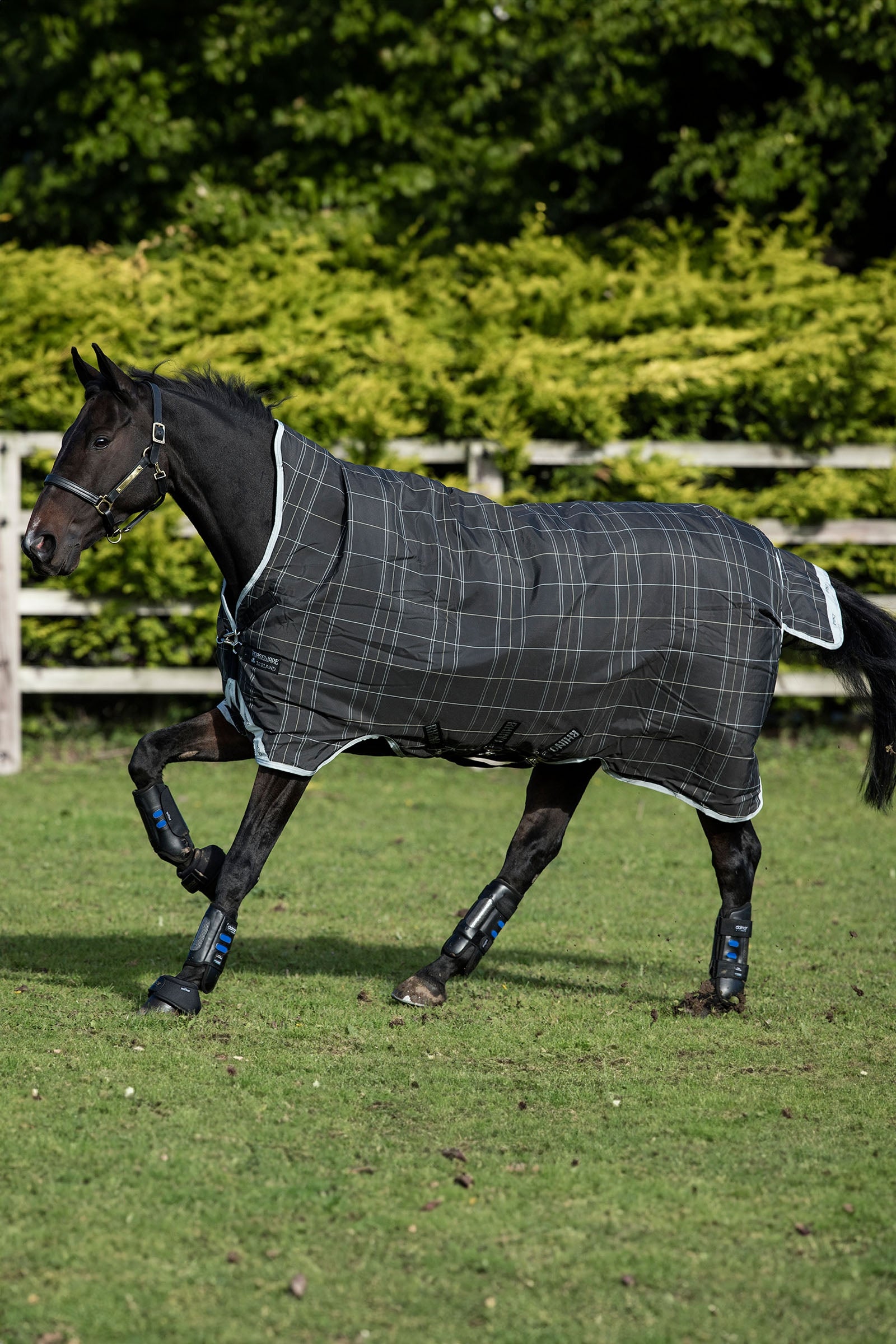 Horseware Rhino Wug Turnout 100g Horse Rugs