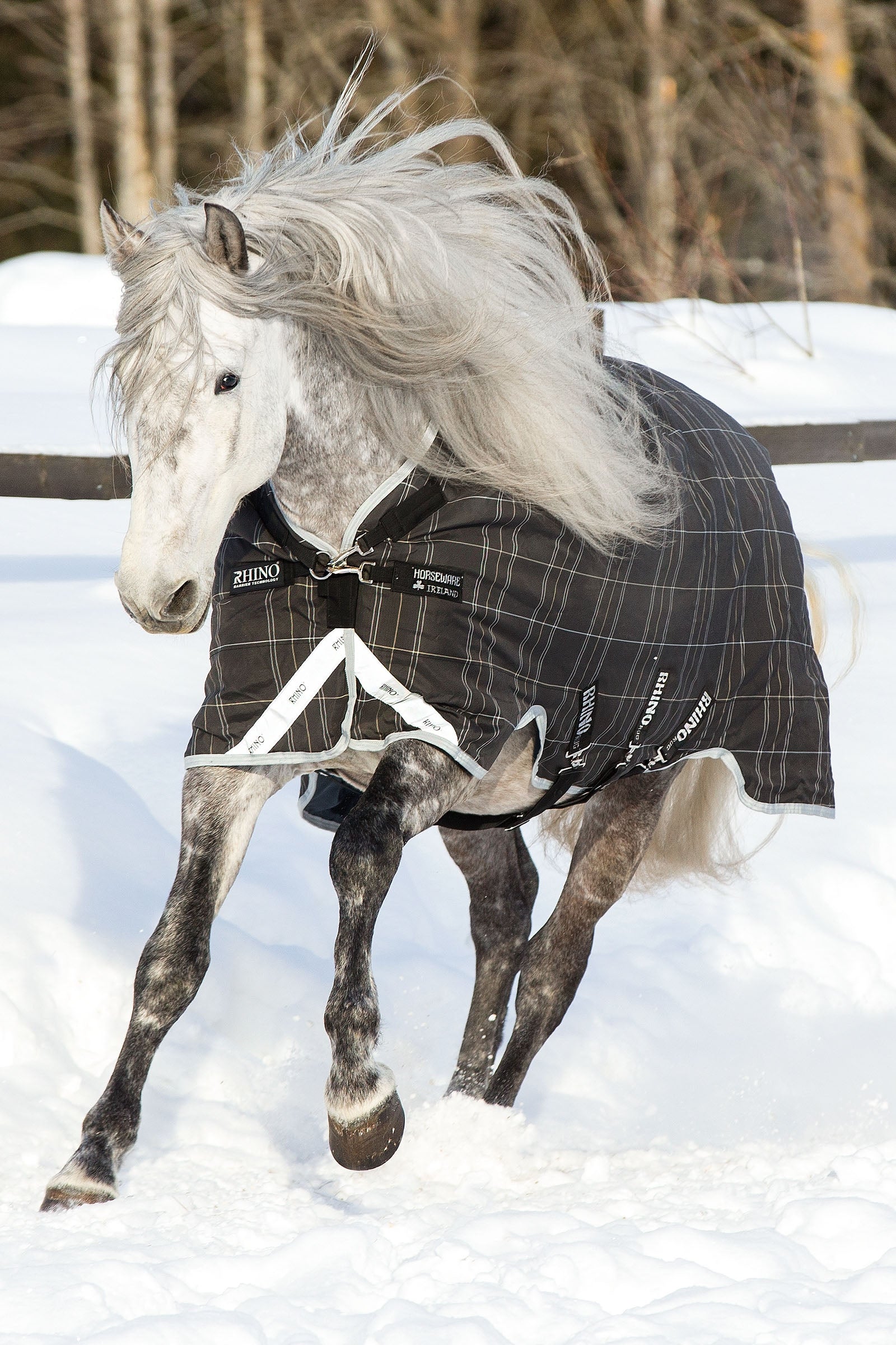 Alt Tag fallback text for IMAGE