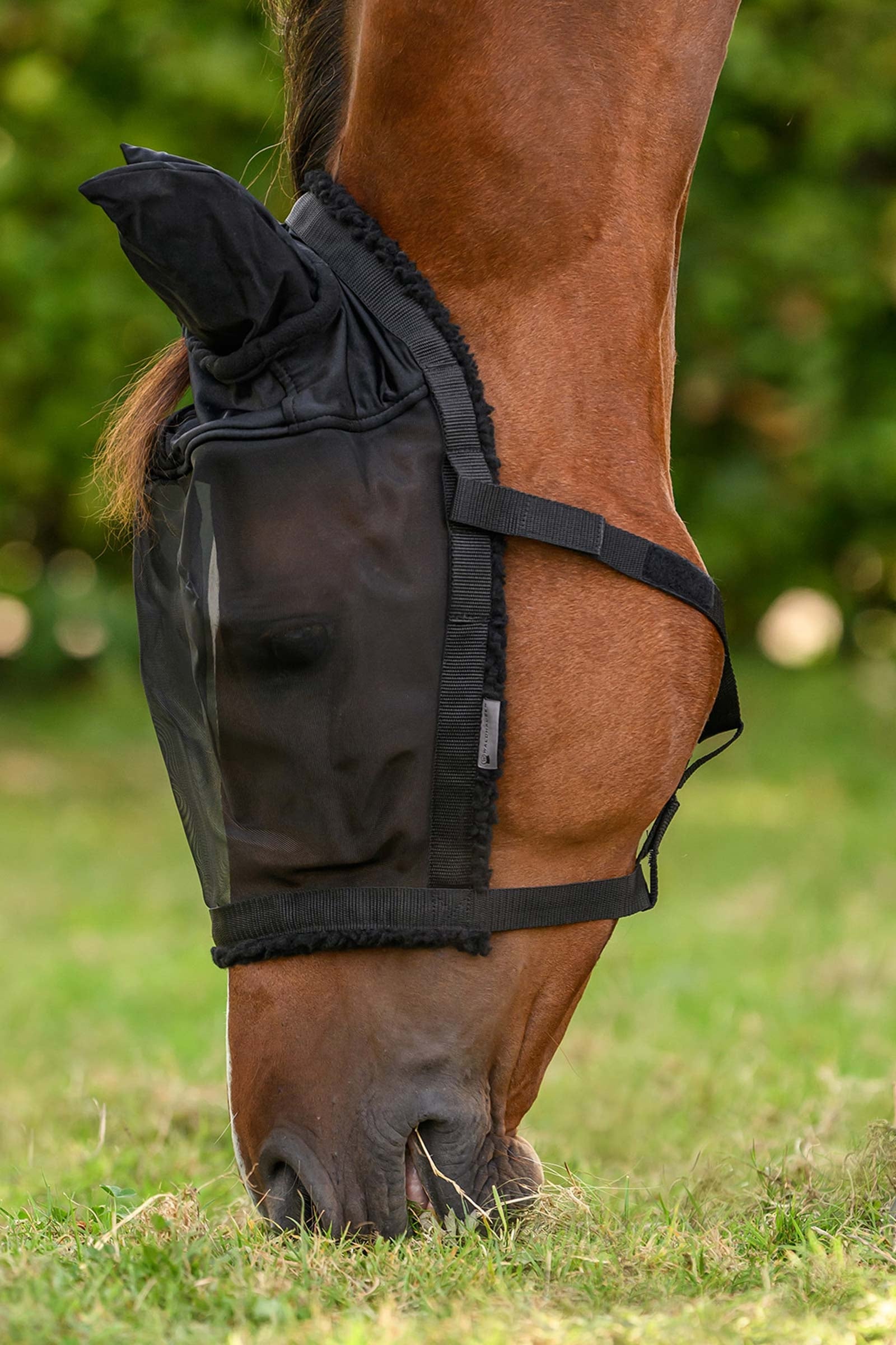 Waldhausen Grazing Halter With Fly Mask Antifly Protection for Horses