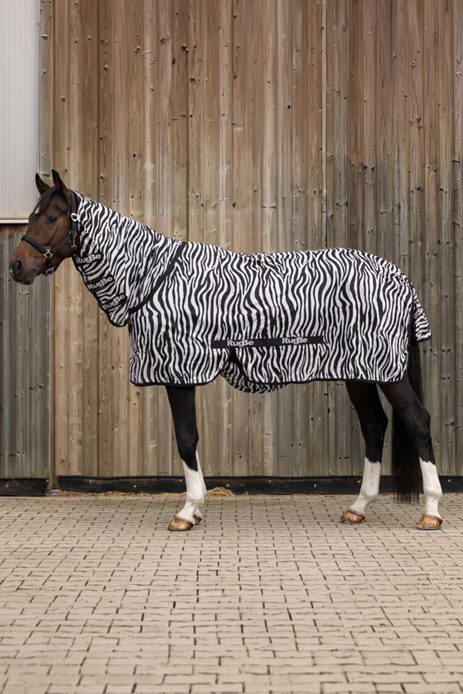 Covalliero RugBe Zebra Fly Sheet With Tail Flap Horse Rugs