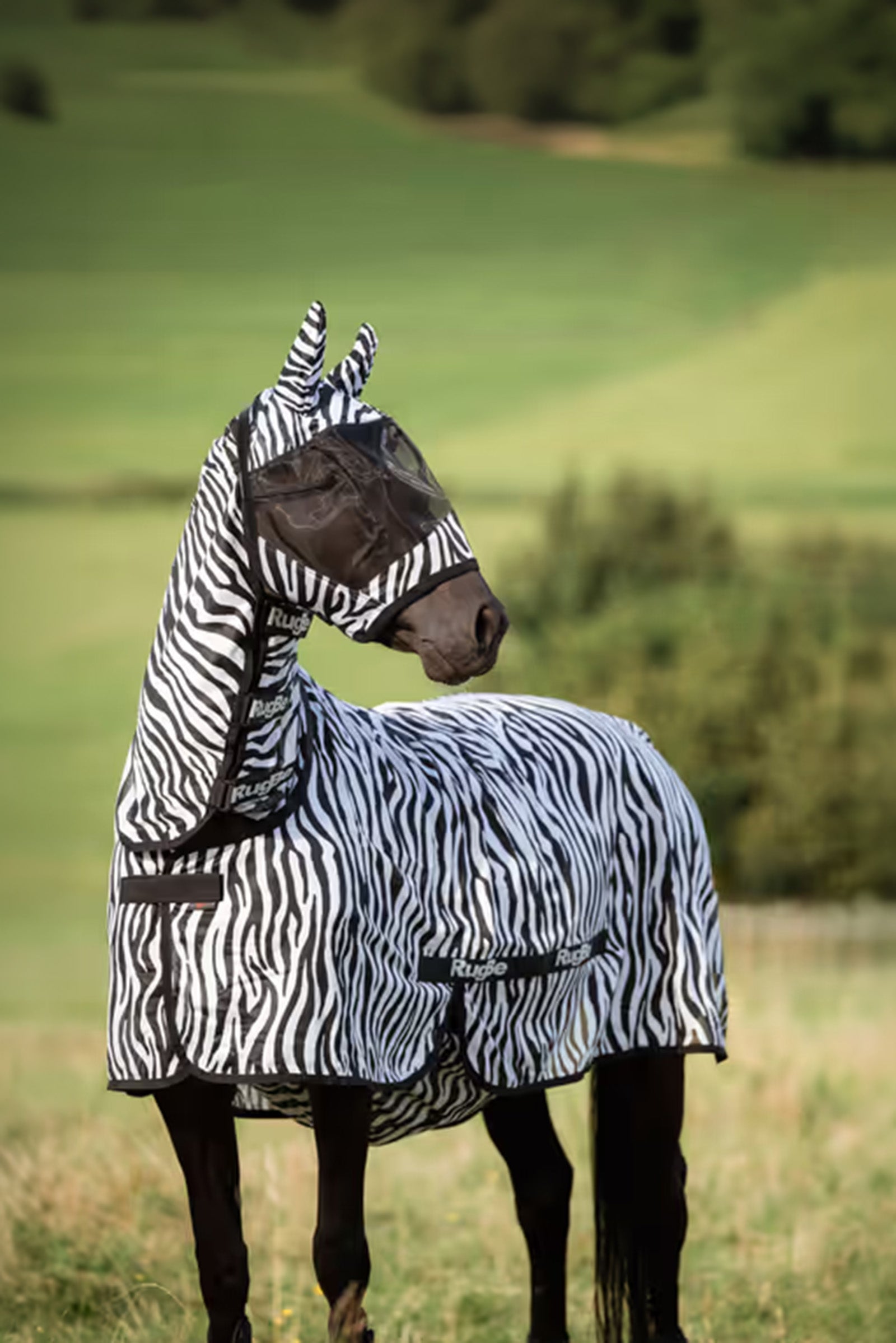 Covalliero RugBe Zebra Fly Sheet With Tail Flap Horse Rugs