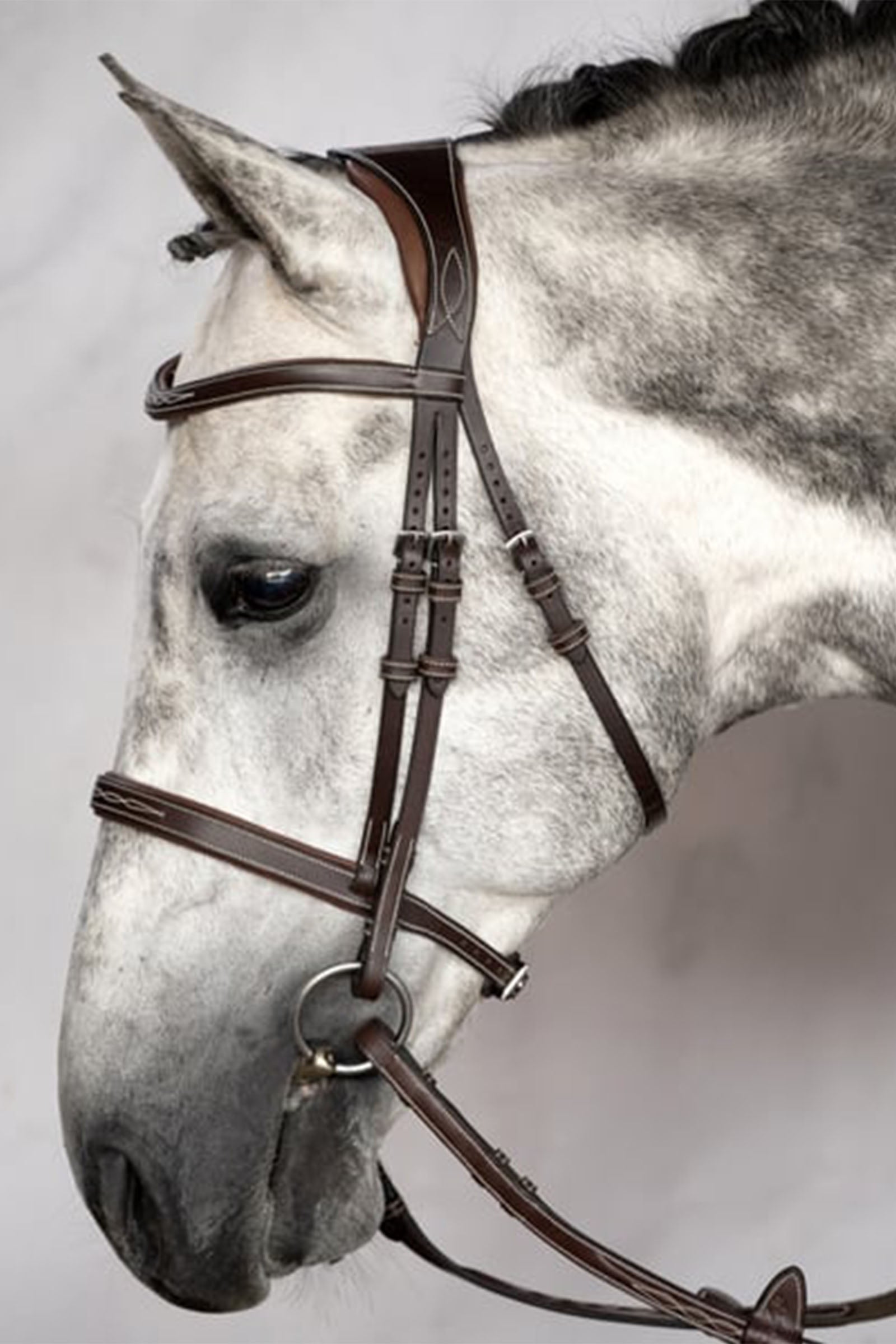 PS of Sweden Bridle Ocala Kantárok & Szárak