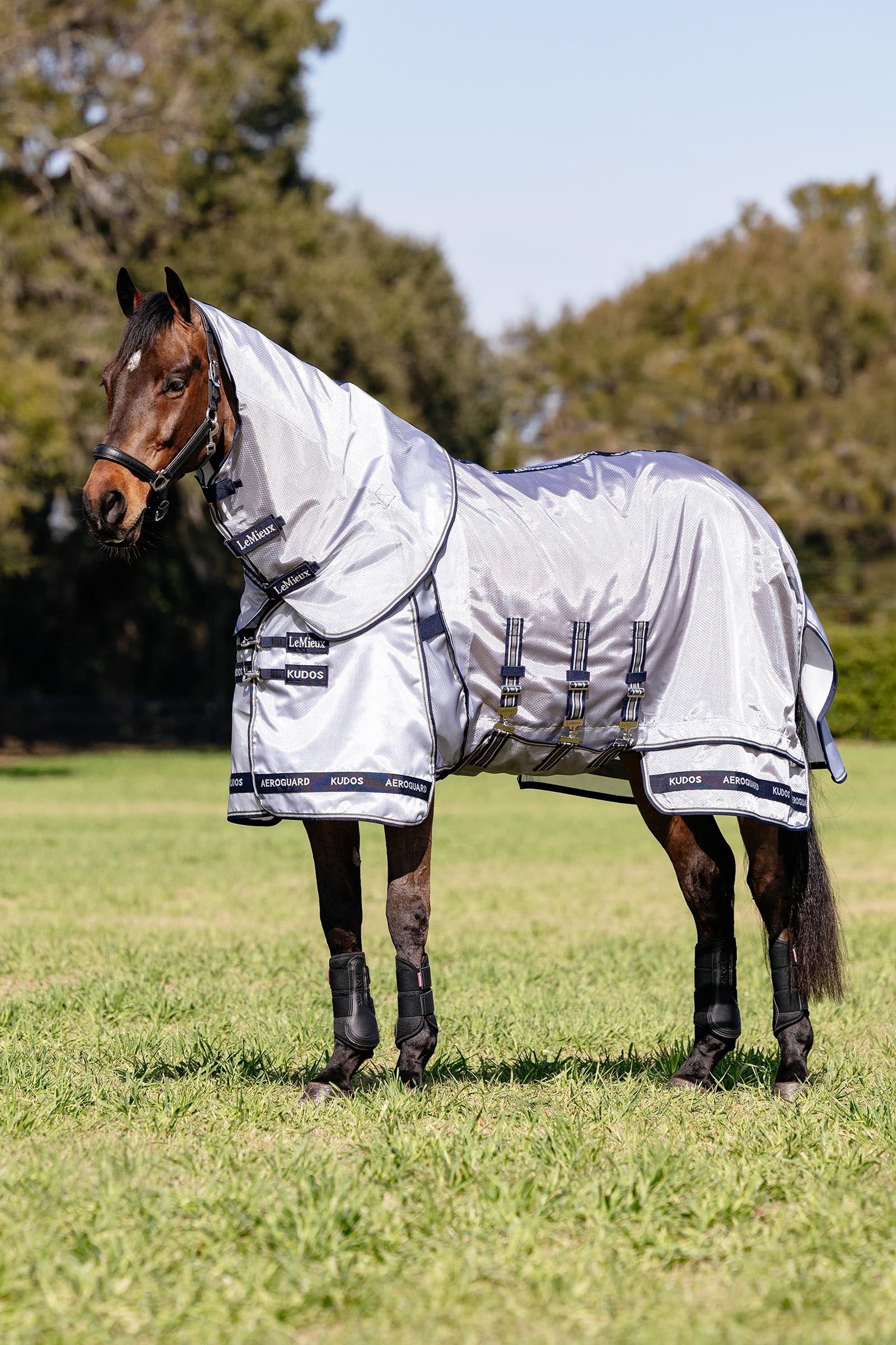 LeMieux Kudos AeroGuard Fly Rug w. Detachable Neck Horse Rugs