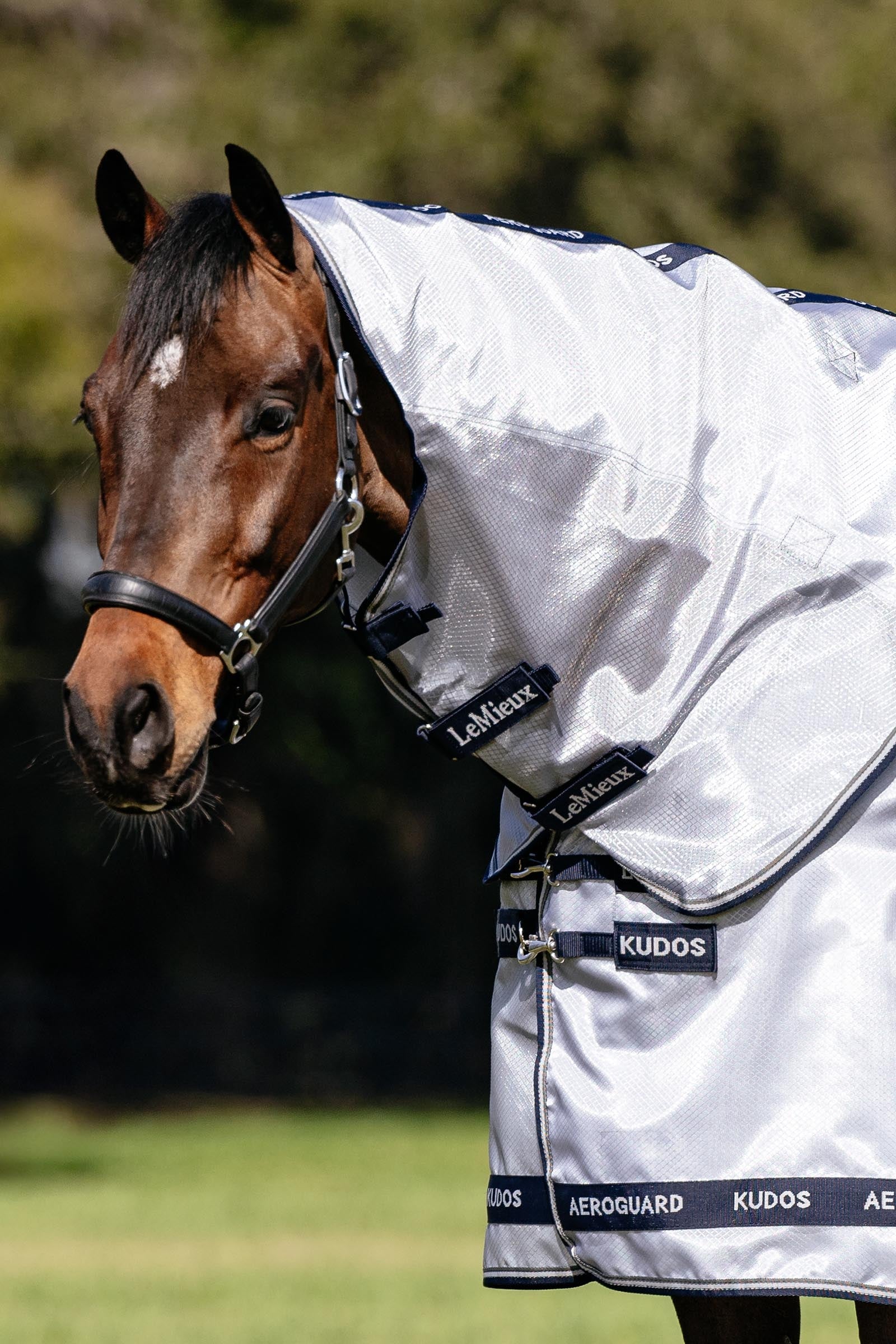 LeMieux Kudos AeroGuard Fly Rug w. Detachable Neck Horse Rugs