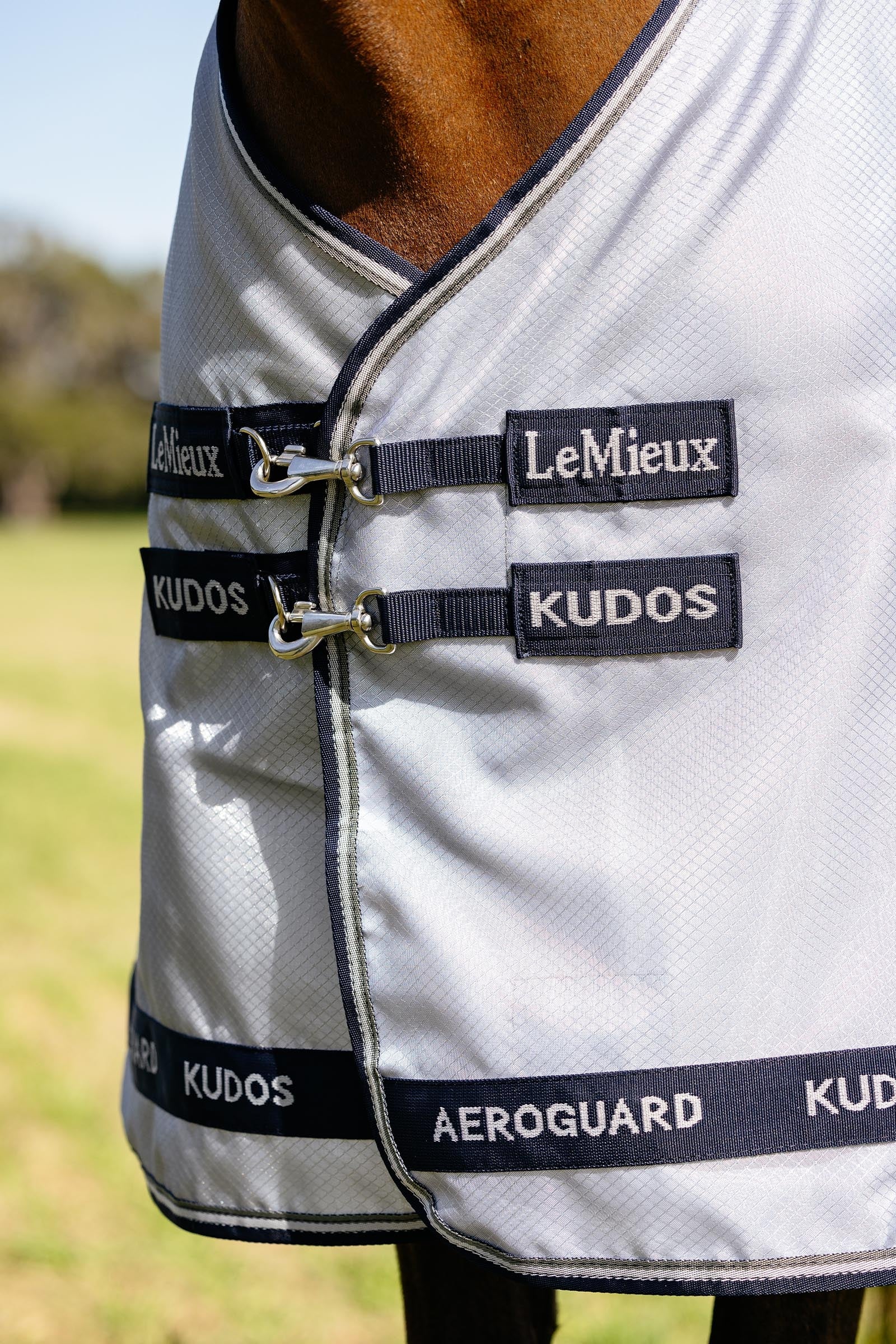 LeMieux Kudos AeroGuard Fly Rug w. Detachable Neck Horse Rugs