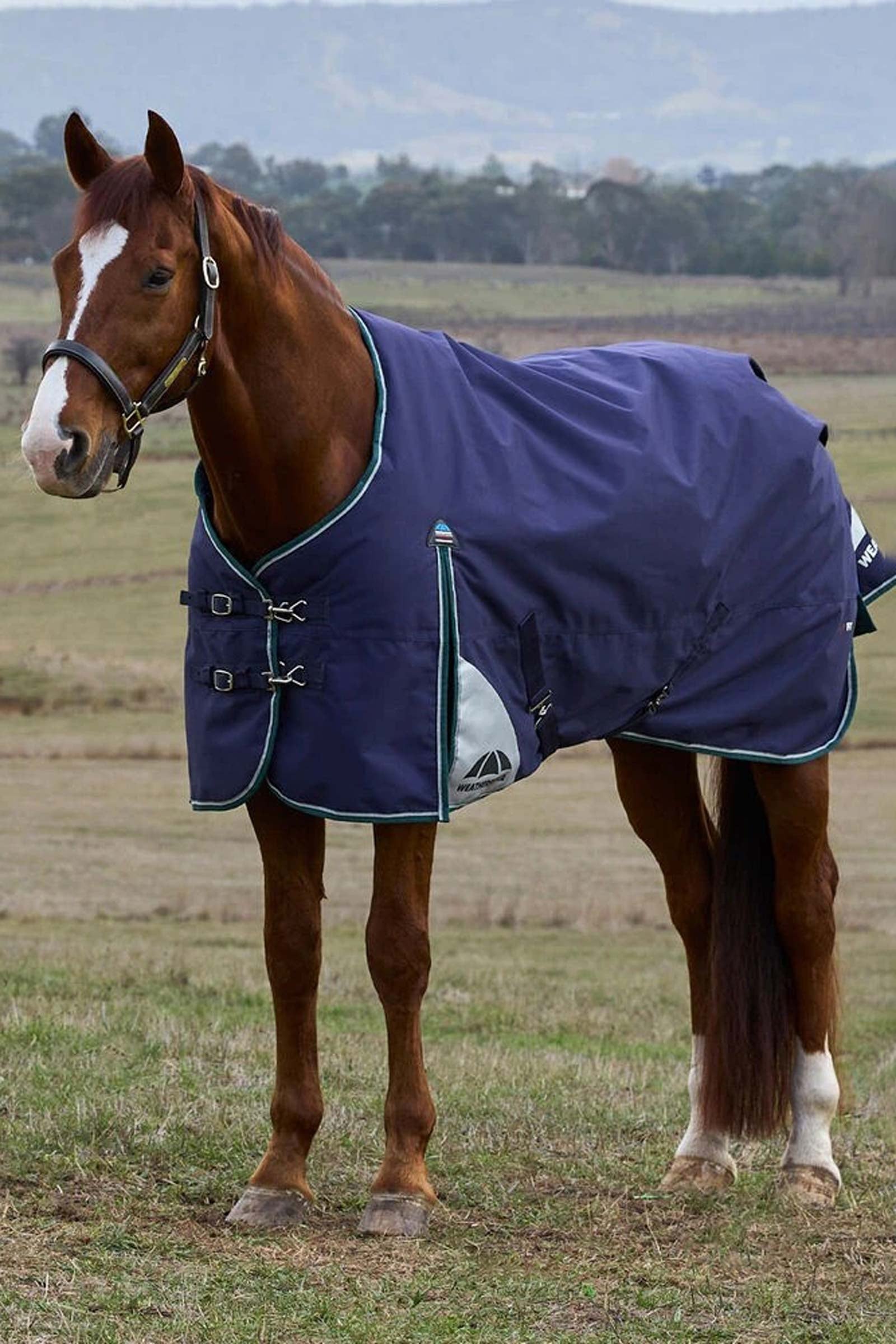 Weatherbeeta ComFiTecPlus Dynamic Turnout Rug, 0 g Lótakarók