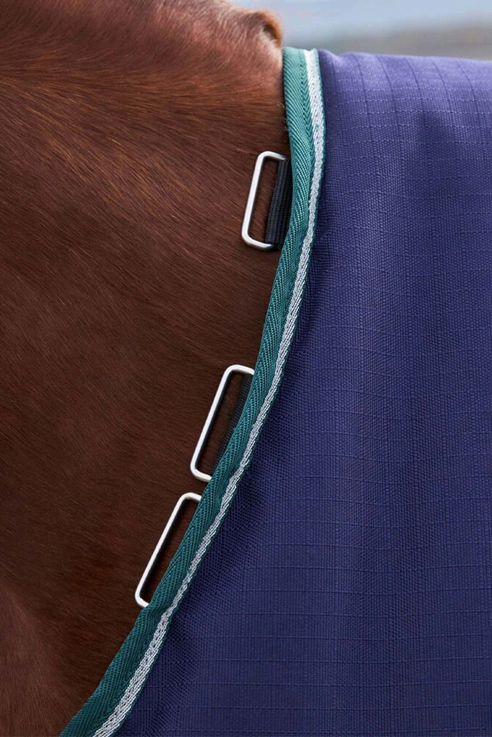 Weatherbeeta ComFiTecPlus Dynamic Turnout Rug, 0 g Horse Rugs