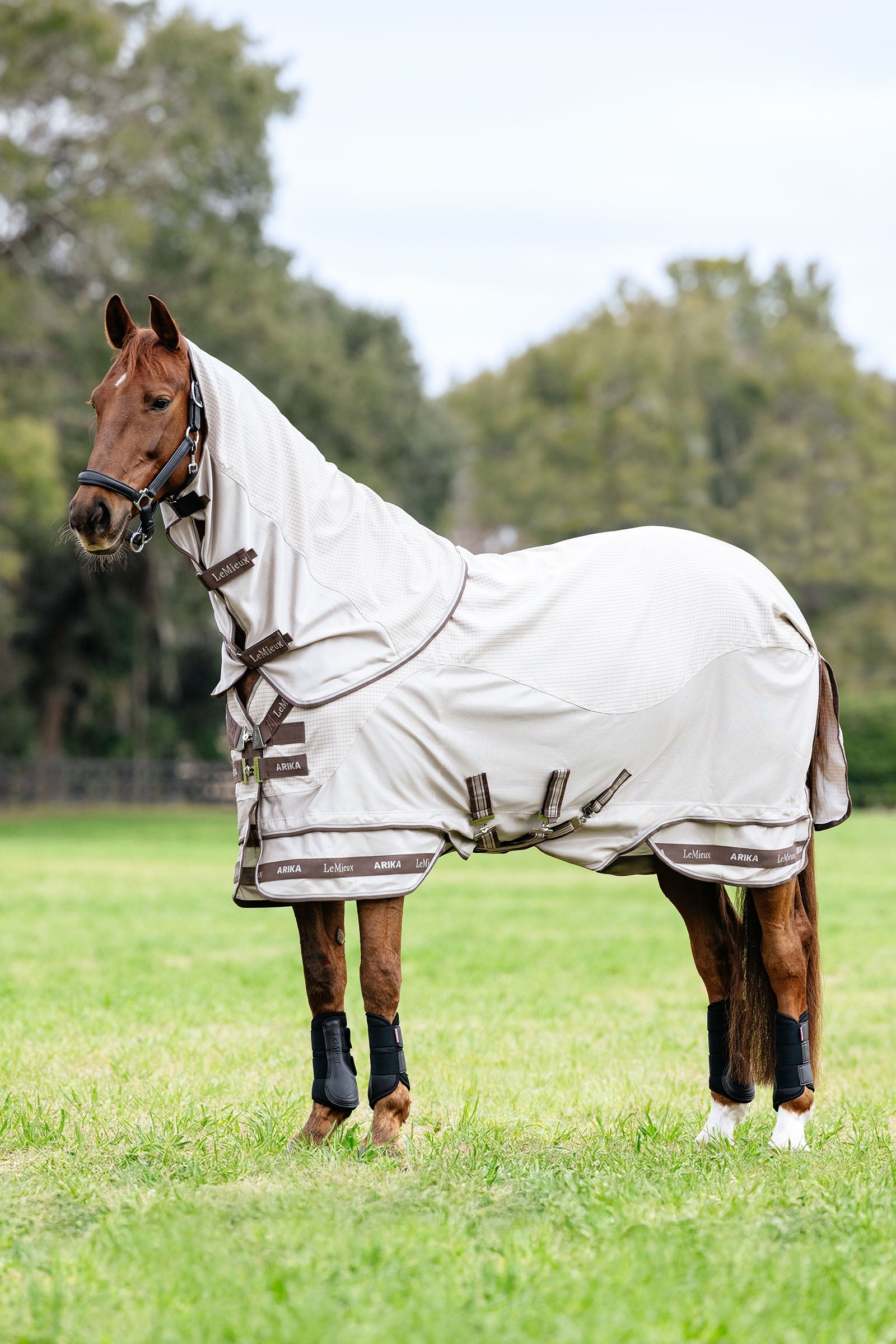 LeMieux Arika 450D Sunstopper kültéri takaró levehető nyakrésszel, 0 g Lótakarók