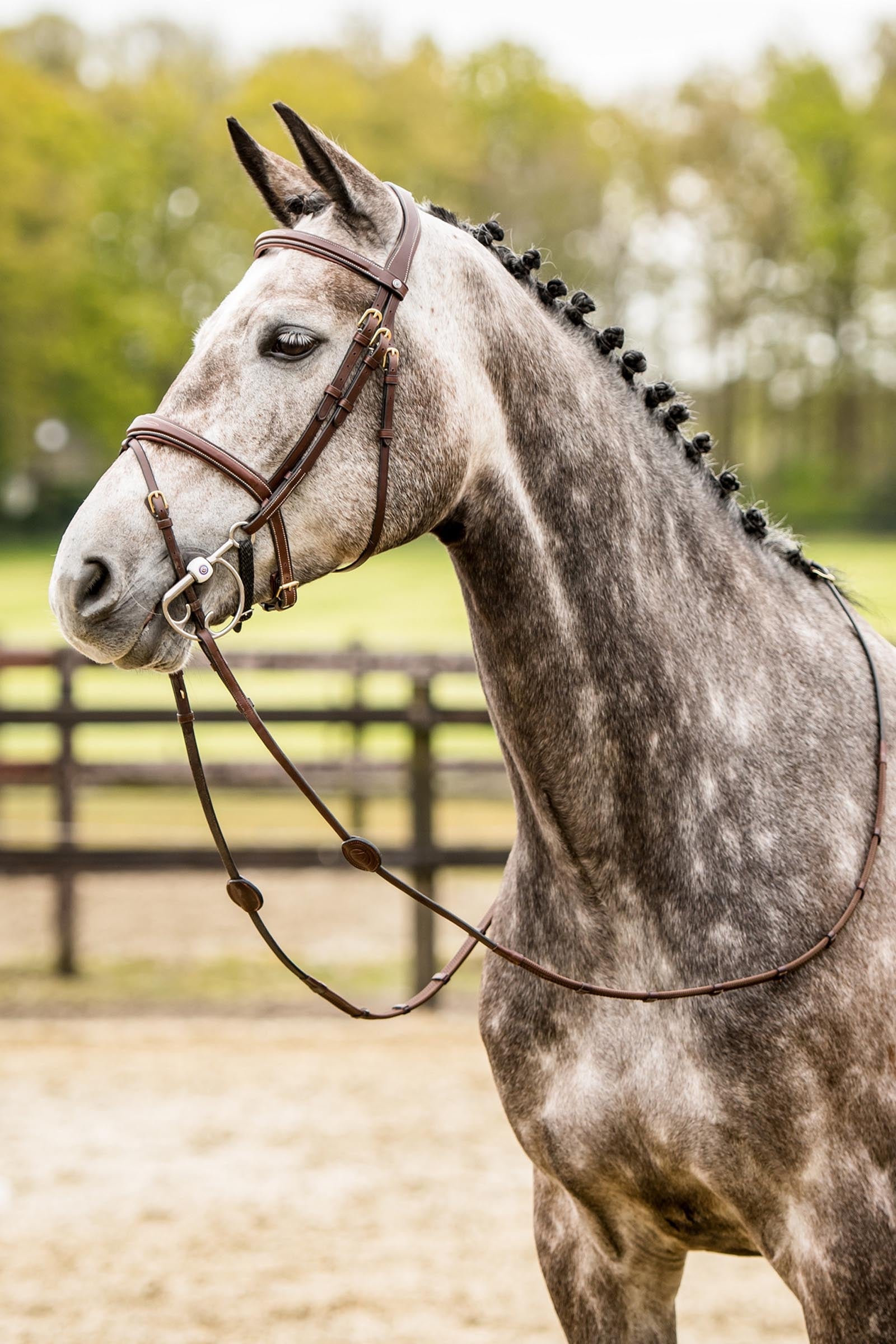 Trust Equestrian Amsterdam Combined Noseband Anatomic Bridle Bridles & Reins