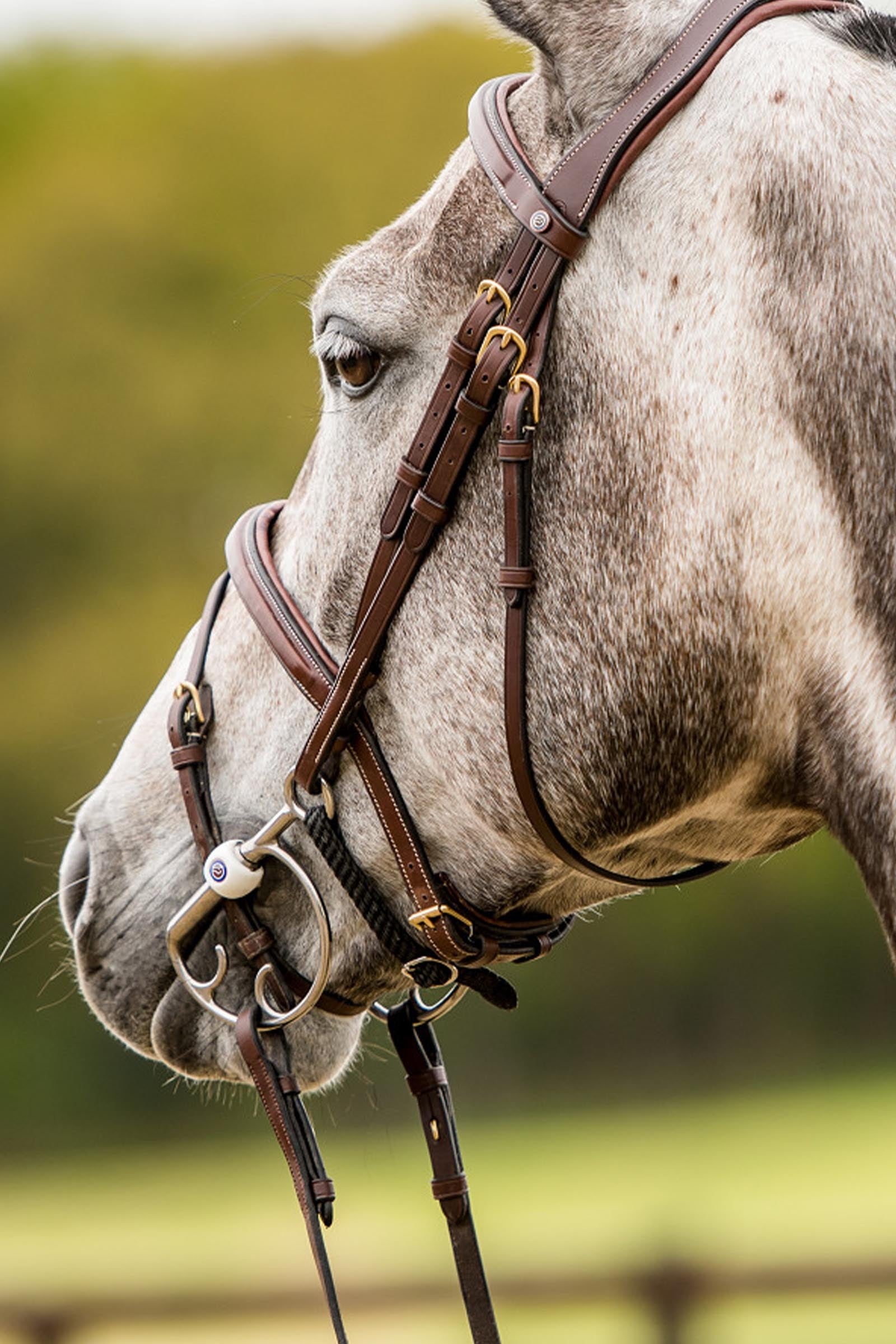 Trust Equestrian Amsterdam Combined Noseband Anatomic Bridle Bridles & Reins