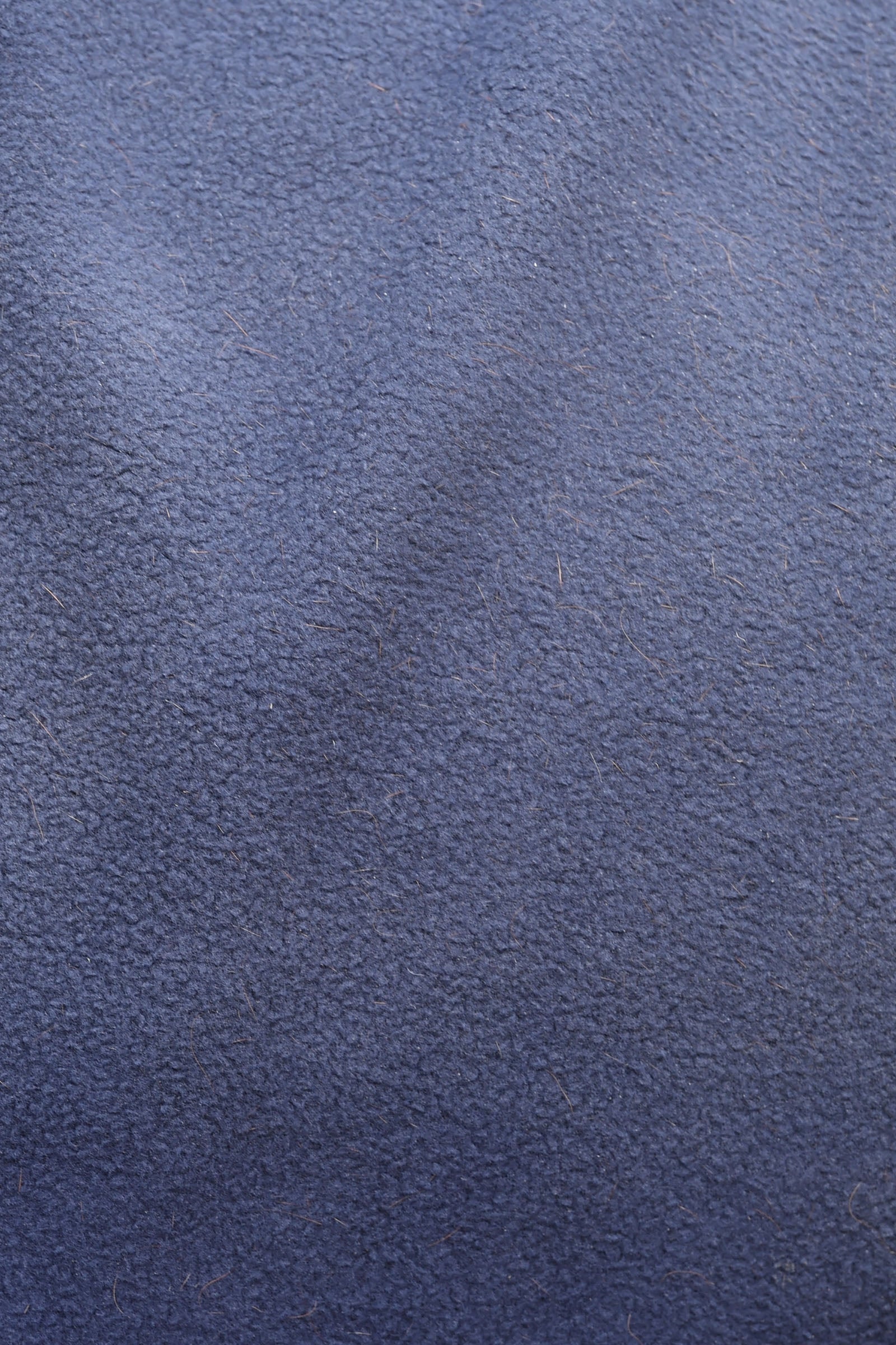 Weatherbeeta Opulence Show Sheet Standard Neck Horse Rugs