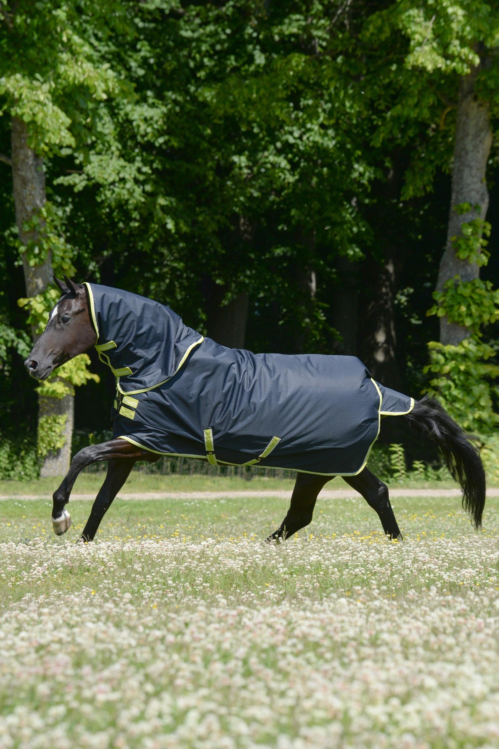 Bucas Oasis Turnout + Neck Set, 100g Horse Rugs