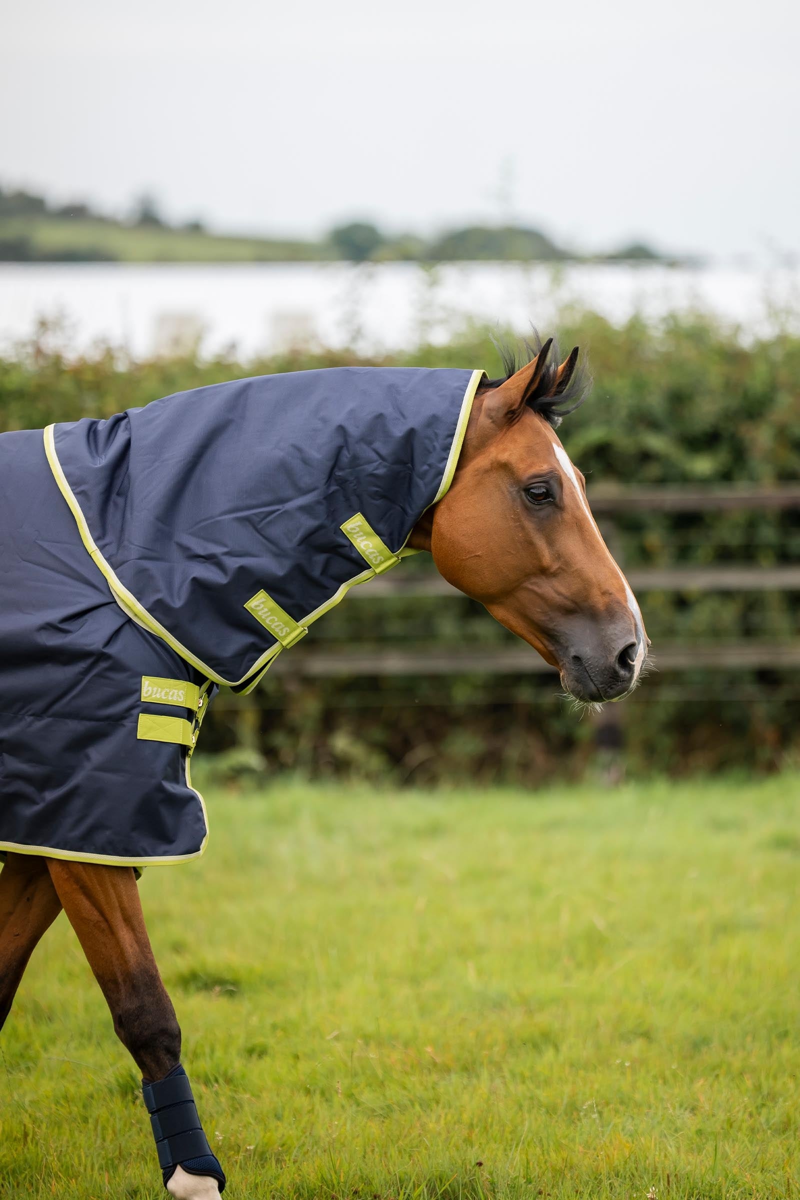 Bucas Oasis Turnout + Neck Set, 100g Horse Rugs
