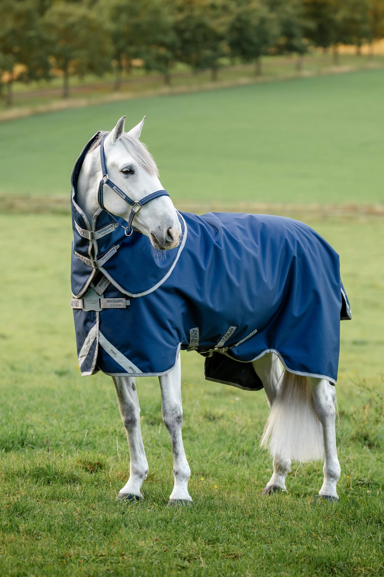 Horseware Amigo 1200D FieldSafe Plus kültéri takaró, 100 g Lótakarók