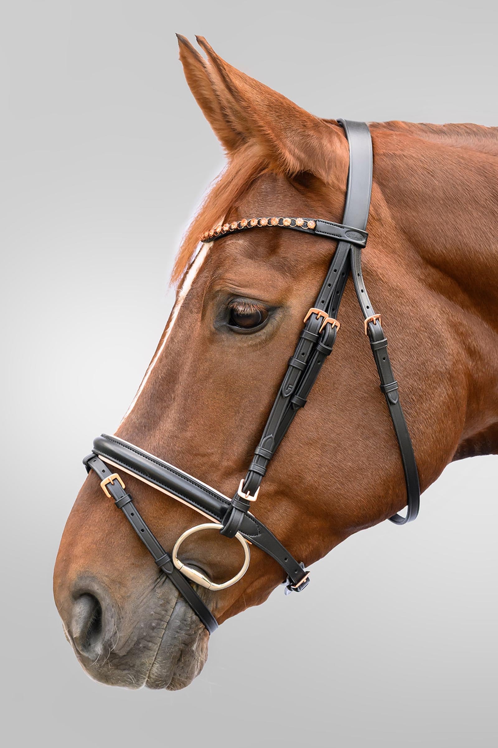 Star Rosegold English Combinded Bridle Bridles & Reins