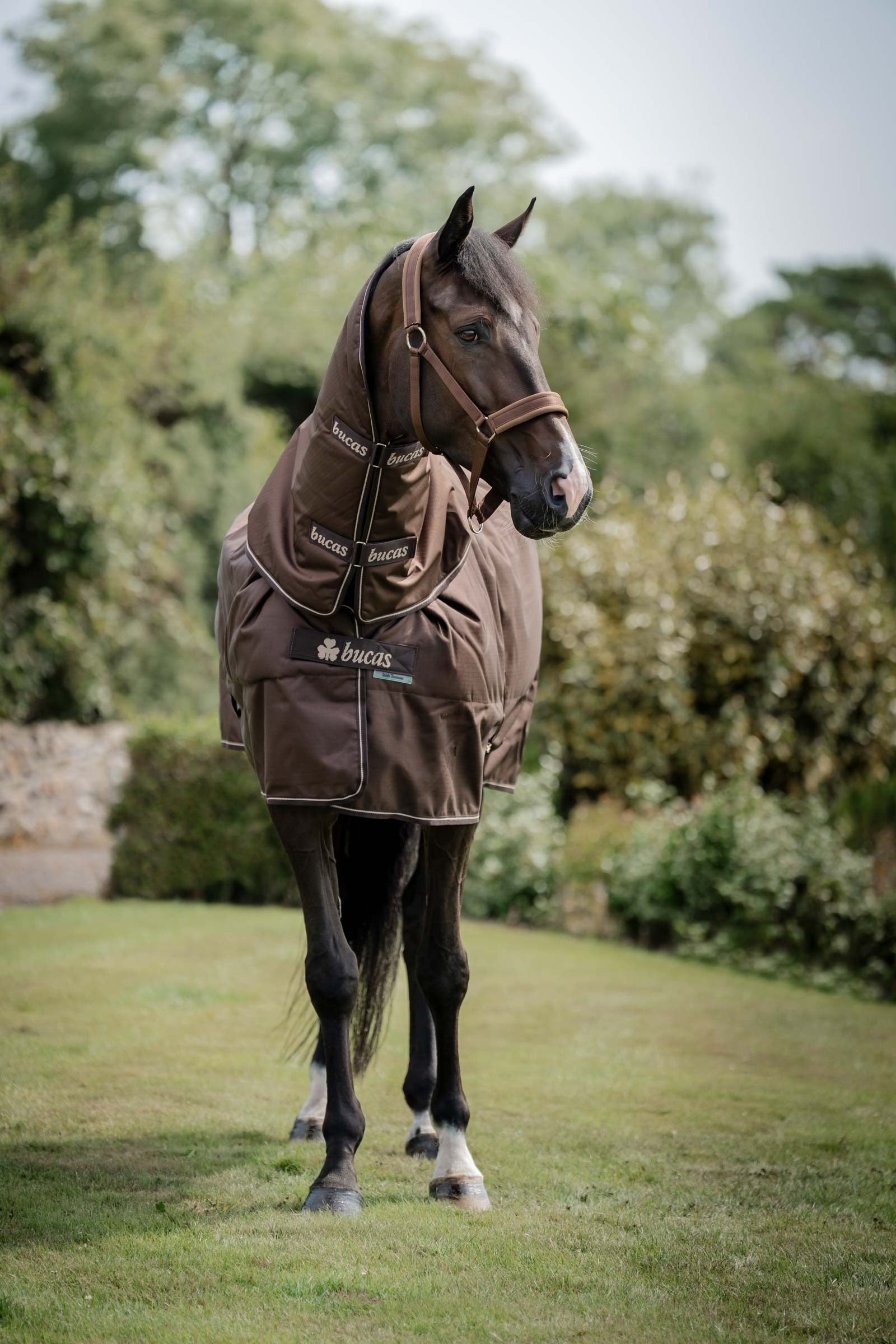 Bucas Irish Turnout 50 g Rug & Neck Lótakarók