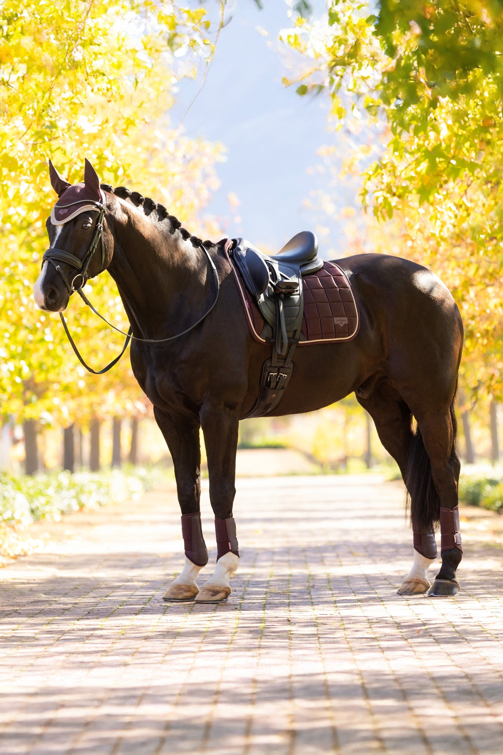 LeMieux Loire Classic Square Dressage Saddle Pad Saddle Pads